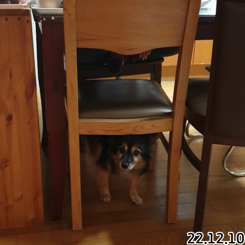 오랜만에 베를린 소식입니다