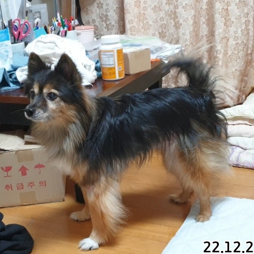 오랜만에 베를린 소식입니다