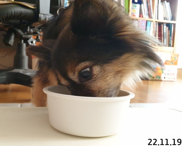 오랜만에 베를린 소식입니다