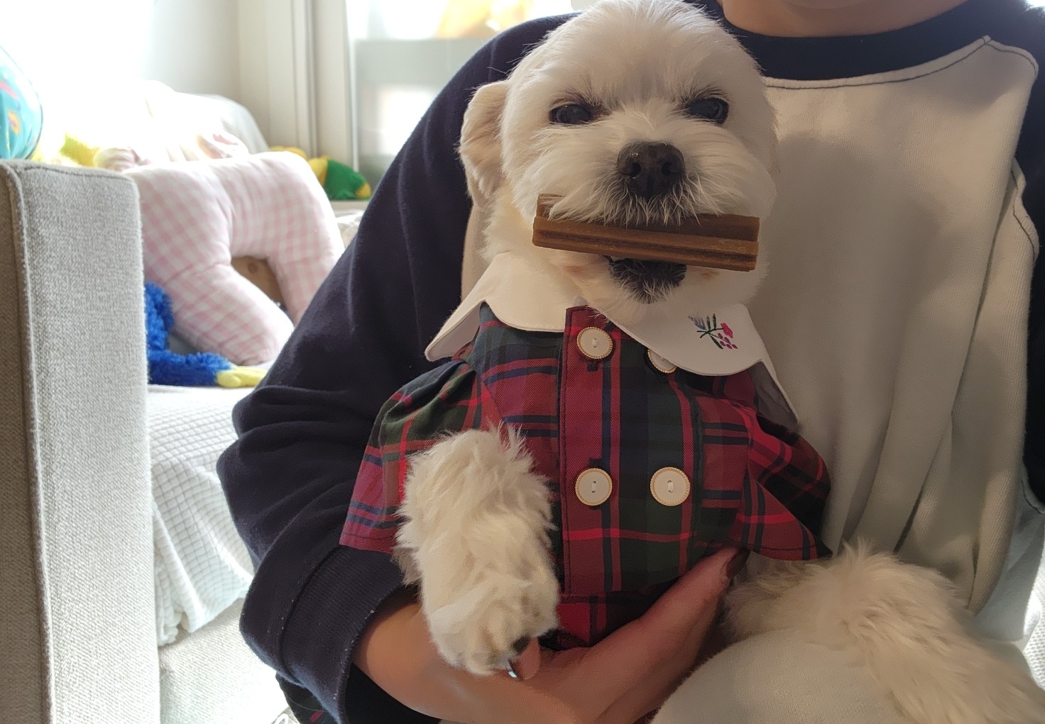 애교 그 잡채 린티 근황입니다♡