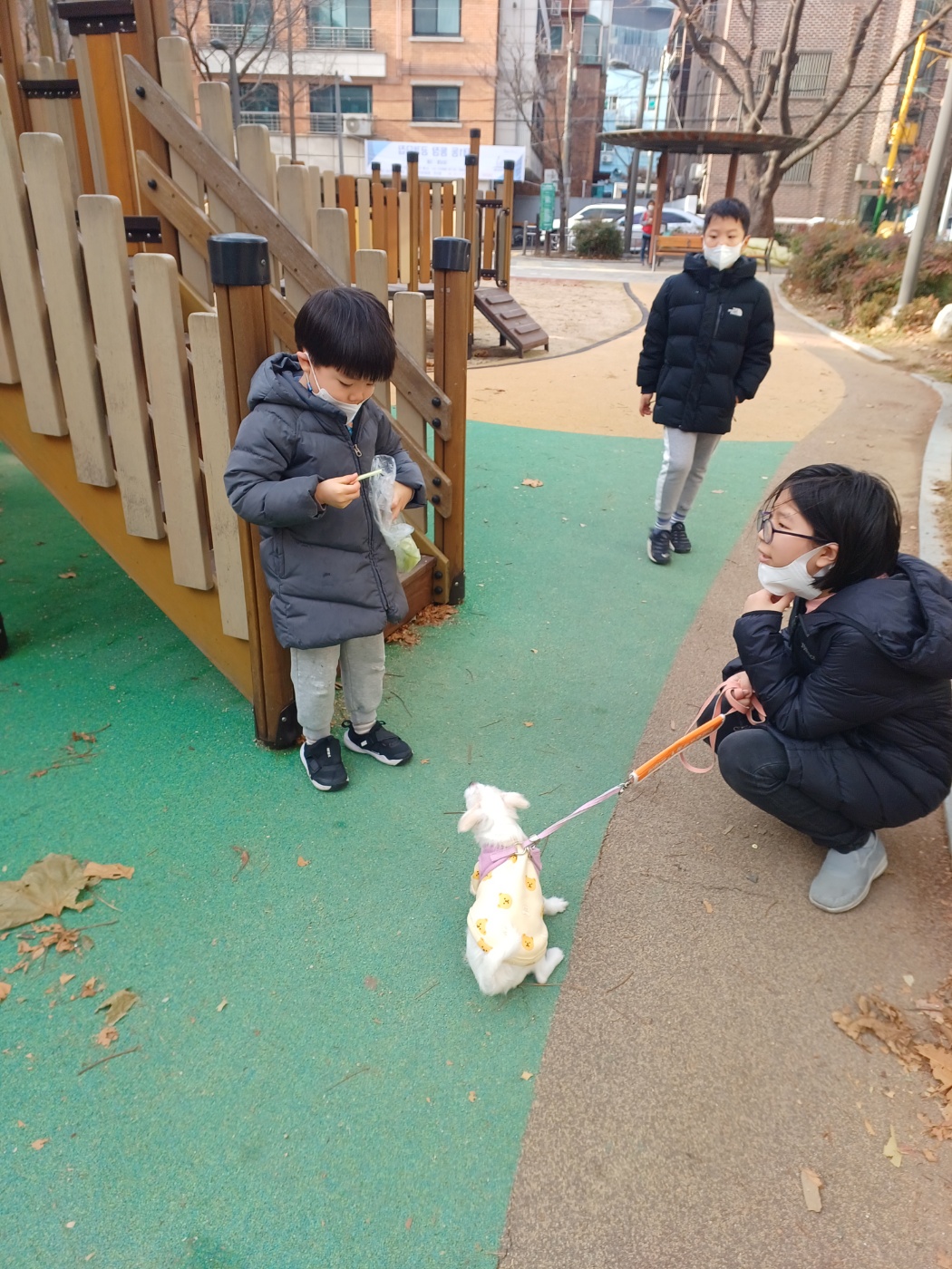 이브(원투) 첫 크리스마스 입니다.