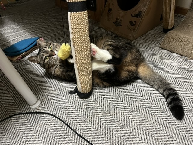 2022년에 나에게 와주어 고마워 비누 !