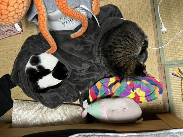 2022년에 나에게 와주어 고마워 비누 !