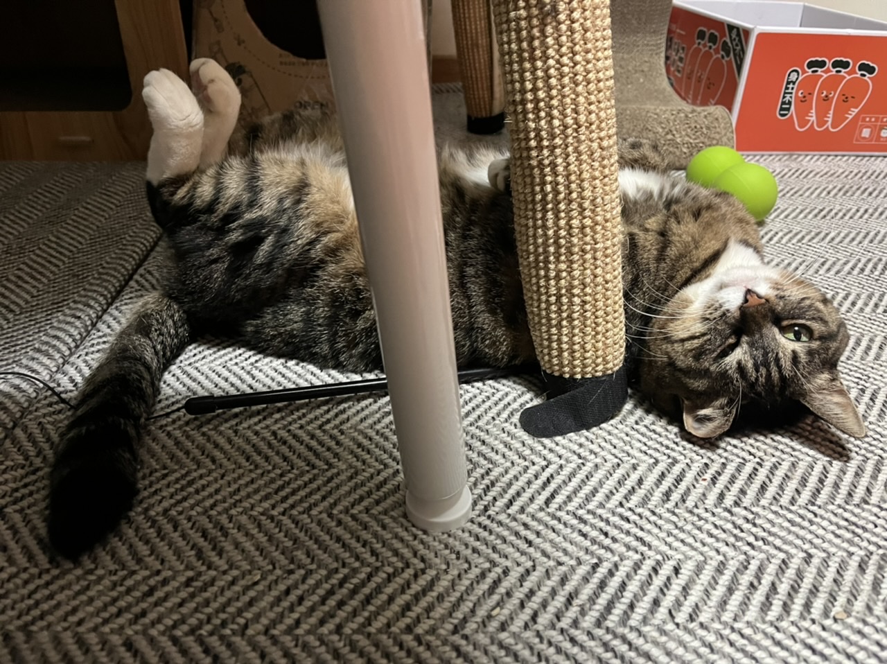 2022년에 나에게 와주어 고마워 비누 !