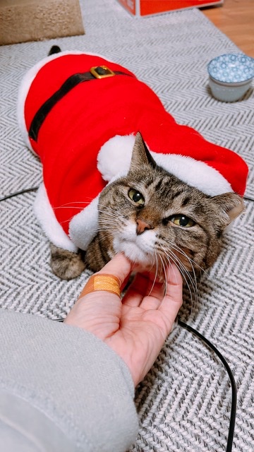 2022년에 나에게 와주어 고마워 비누 !