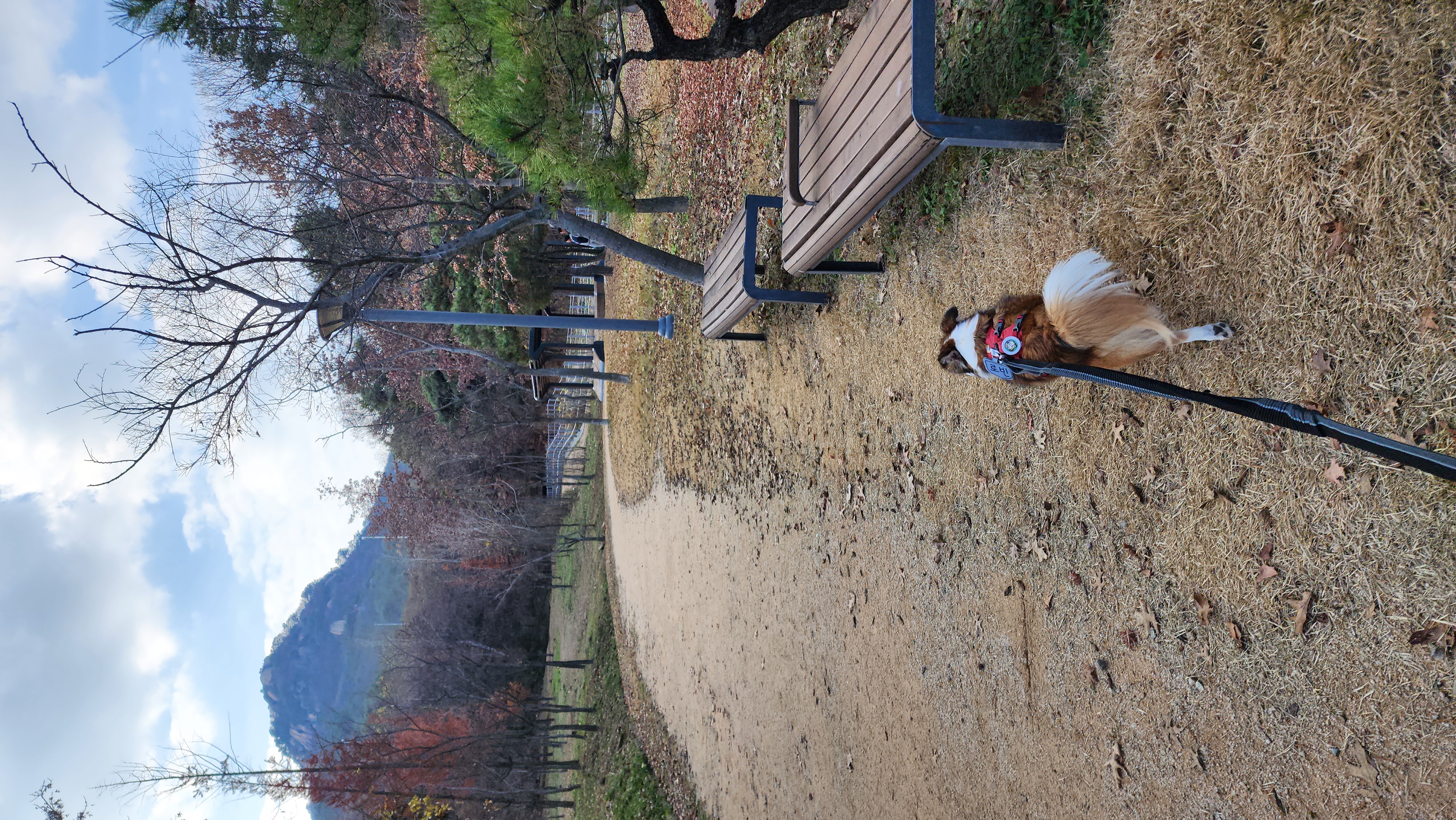 루시, 로빈이 남매 근황(D+2667)