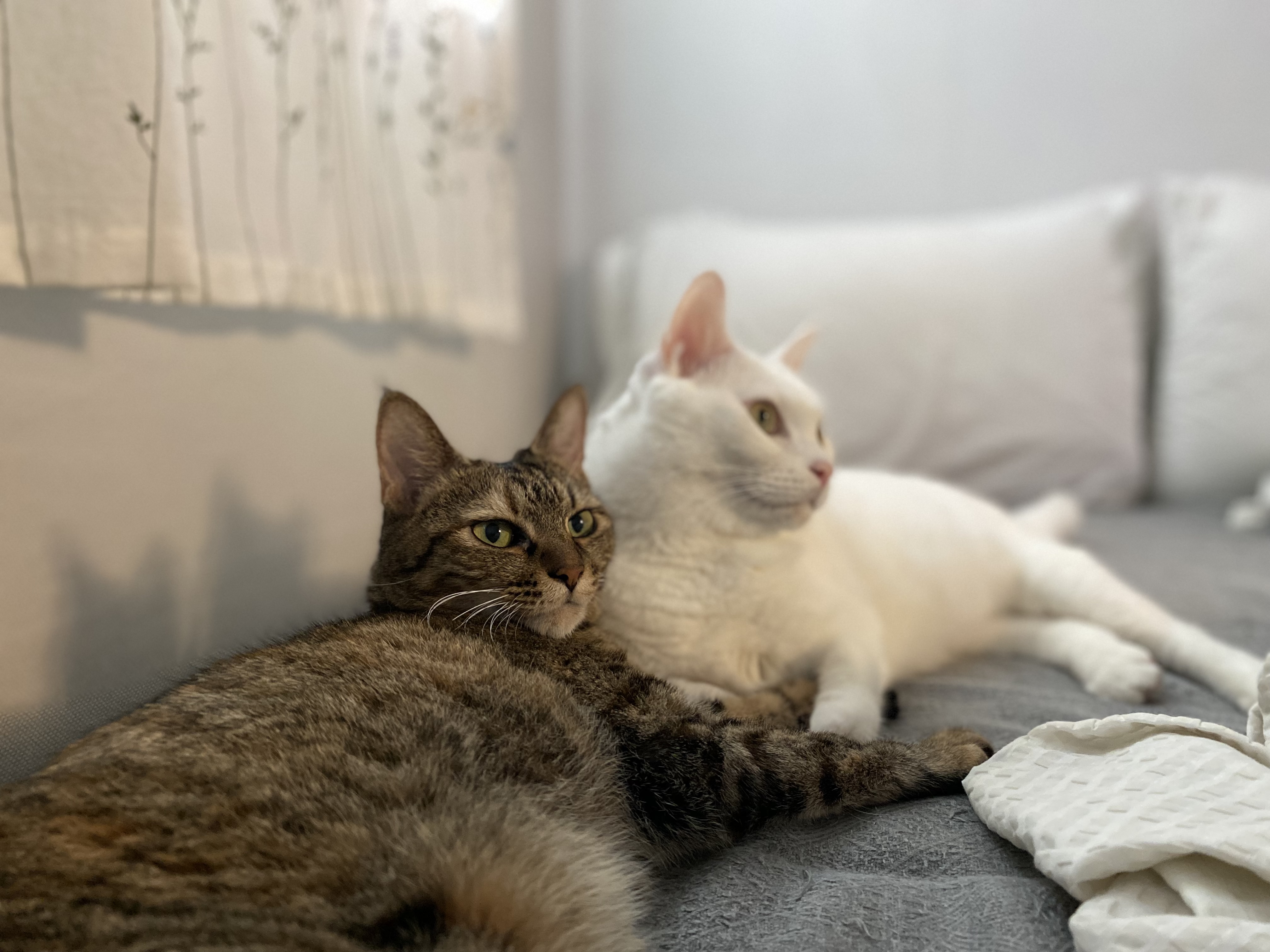 구름이 다람이 일상