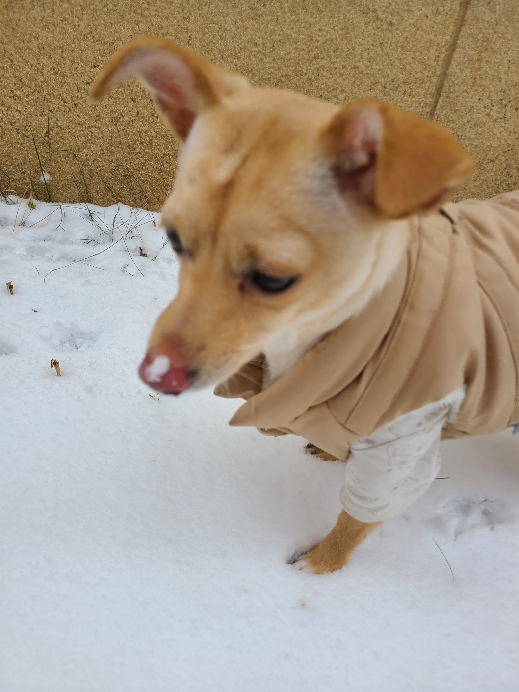 데이와 함께한지 벌써1년