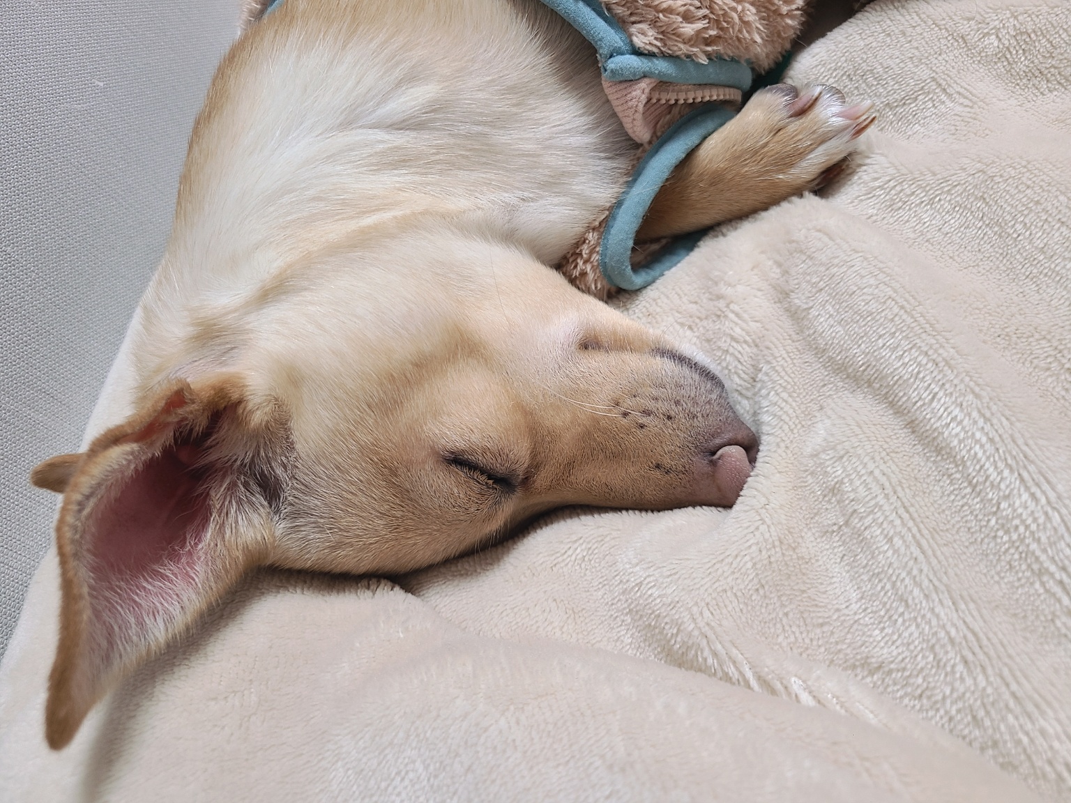 데이와 함께한지 벌써1년