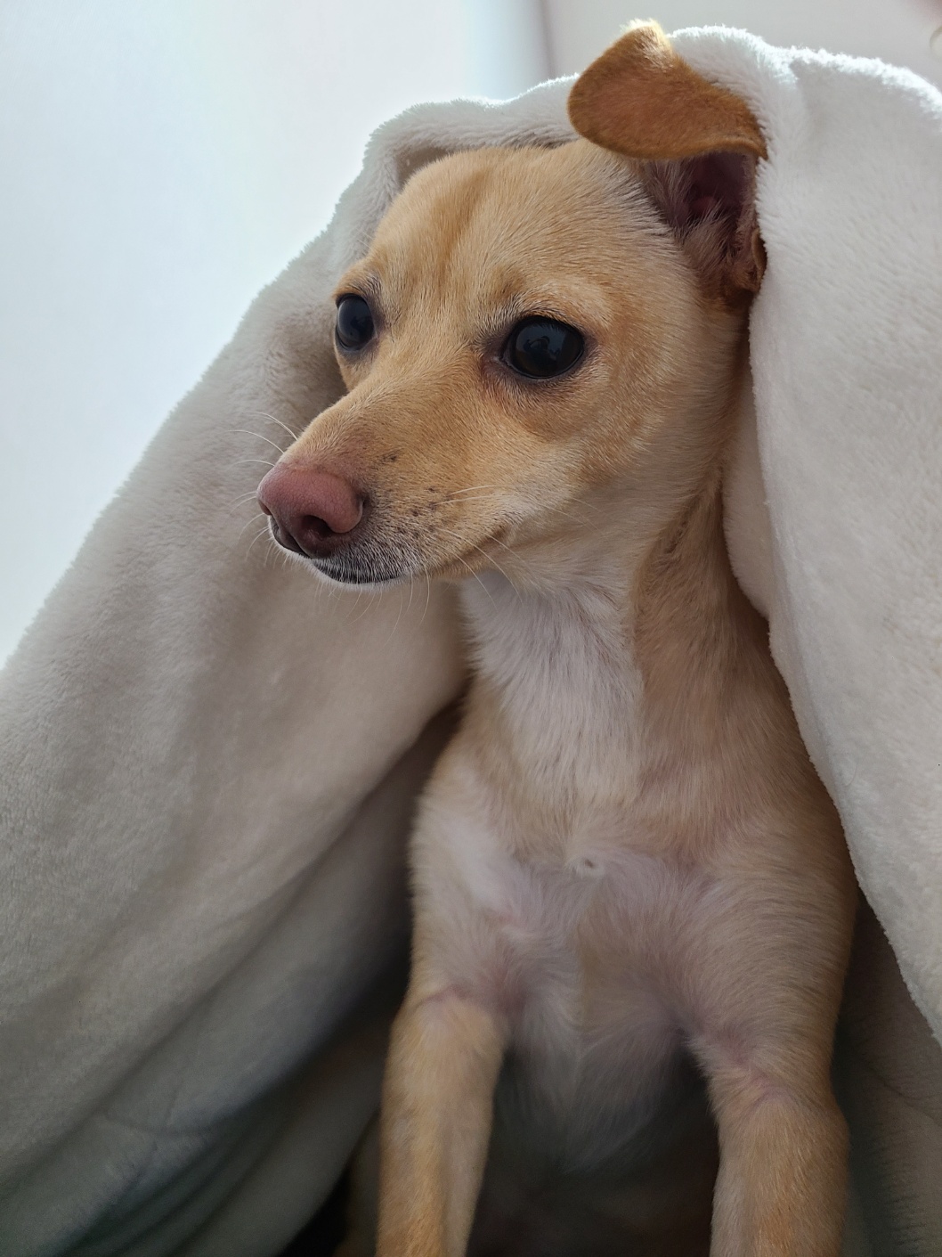 데이와 함께한지 벌써1년