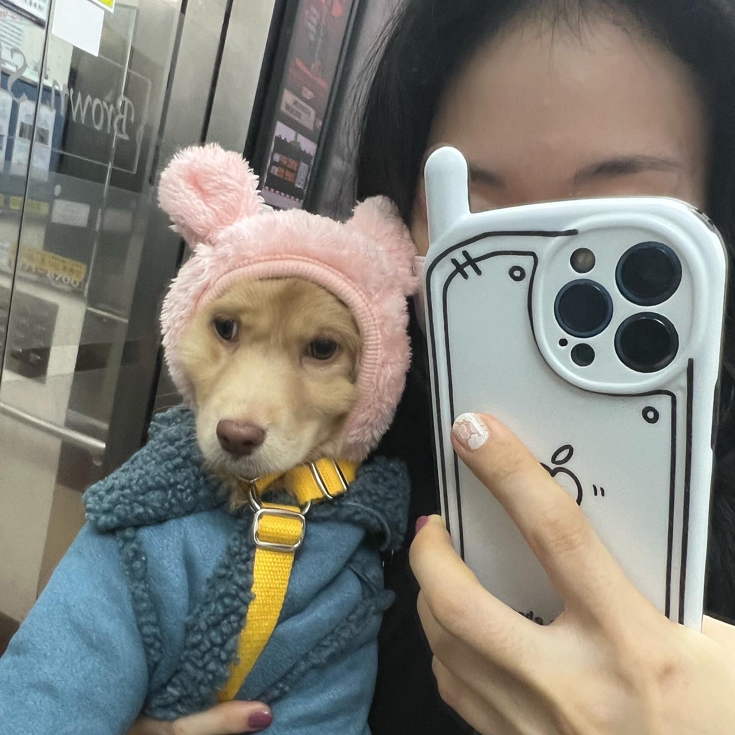 세리 임시보호 후기에용