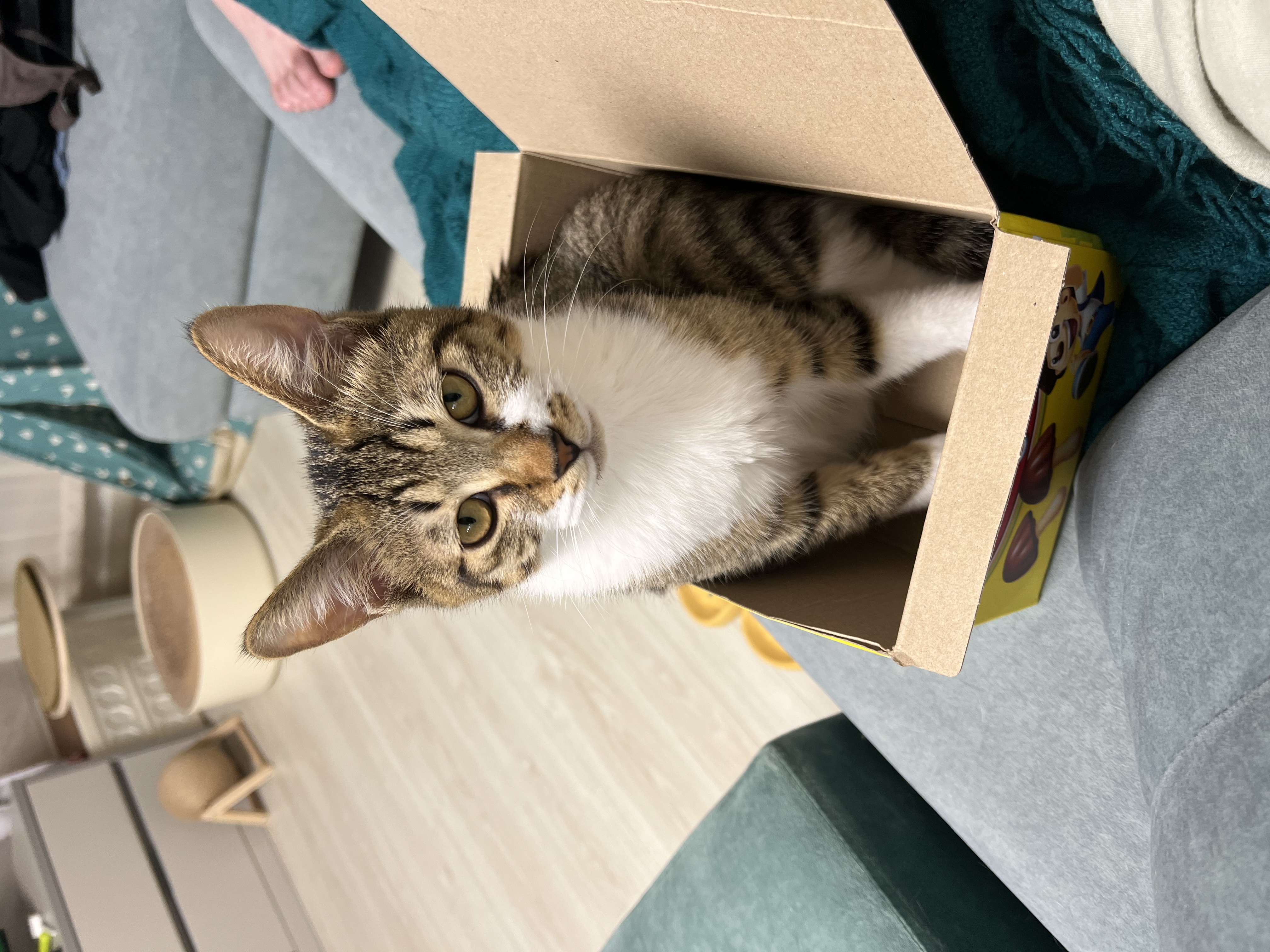 타바사(구 트윙클) 근황입니다❤️