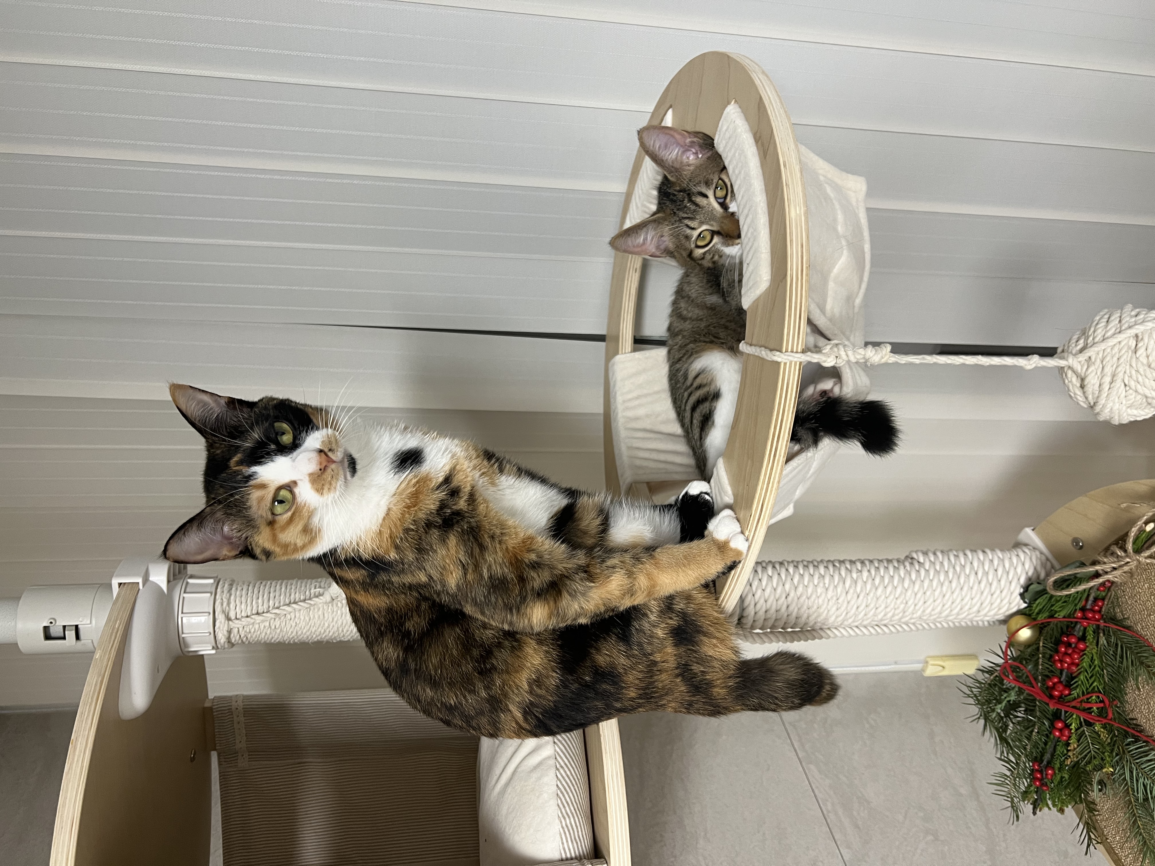 타바사(구 트윙클) 근황입니다❤️