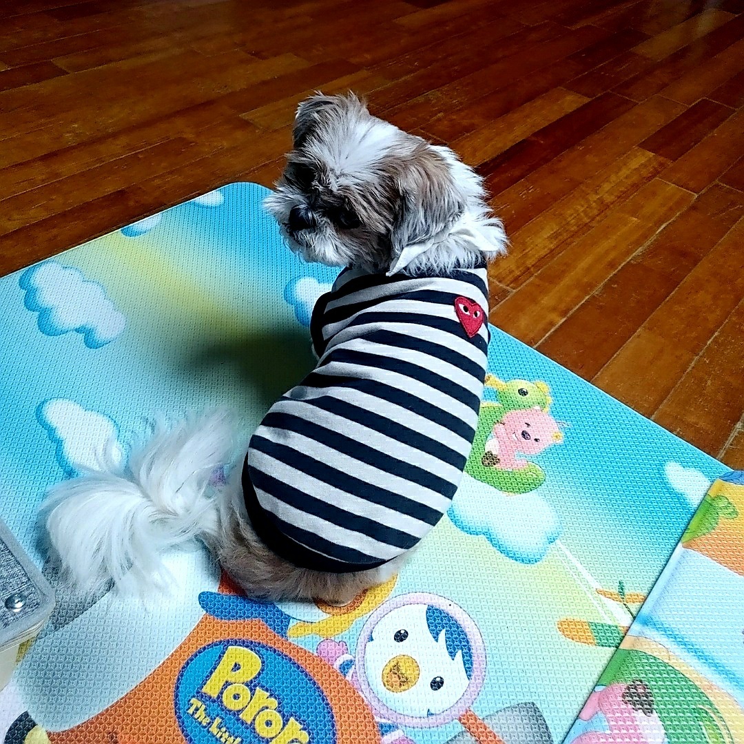 오리가 온지 1년이 되었어요~