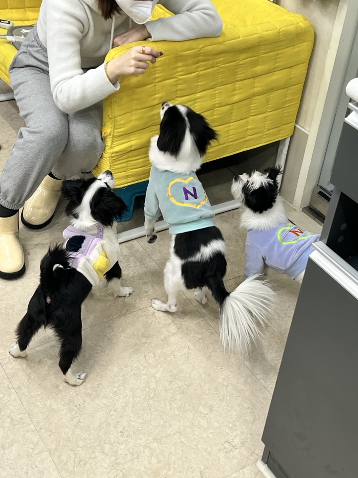 라이카와 리코의 근황입니다~!