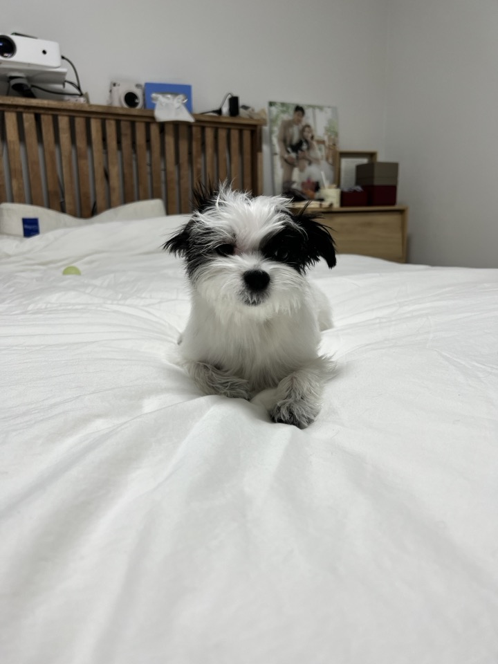 라이카와 리코의 근황입니다~!