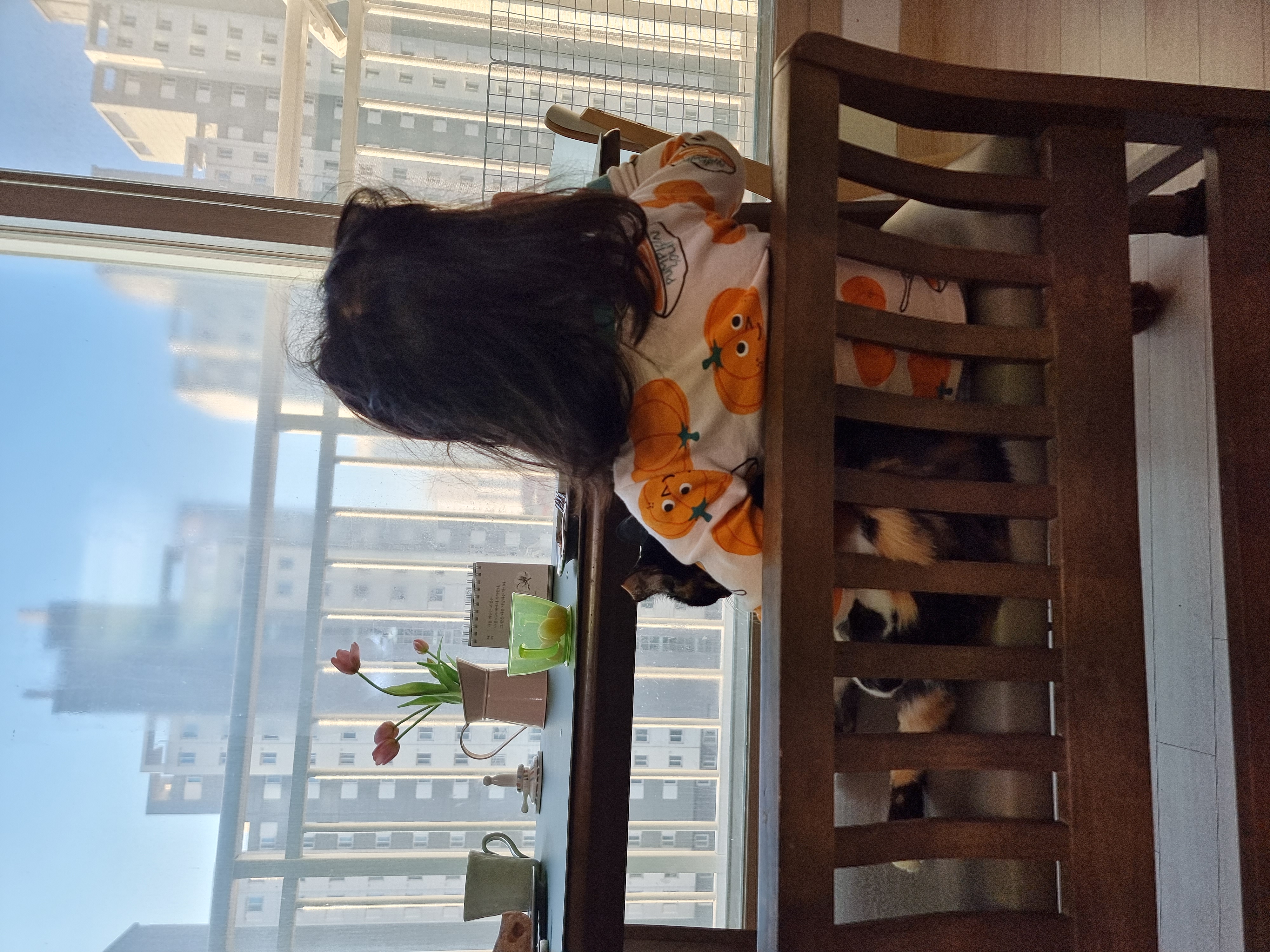 미피,허니 오랜만에 올리네요♡