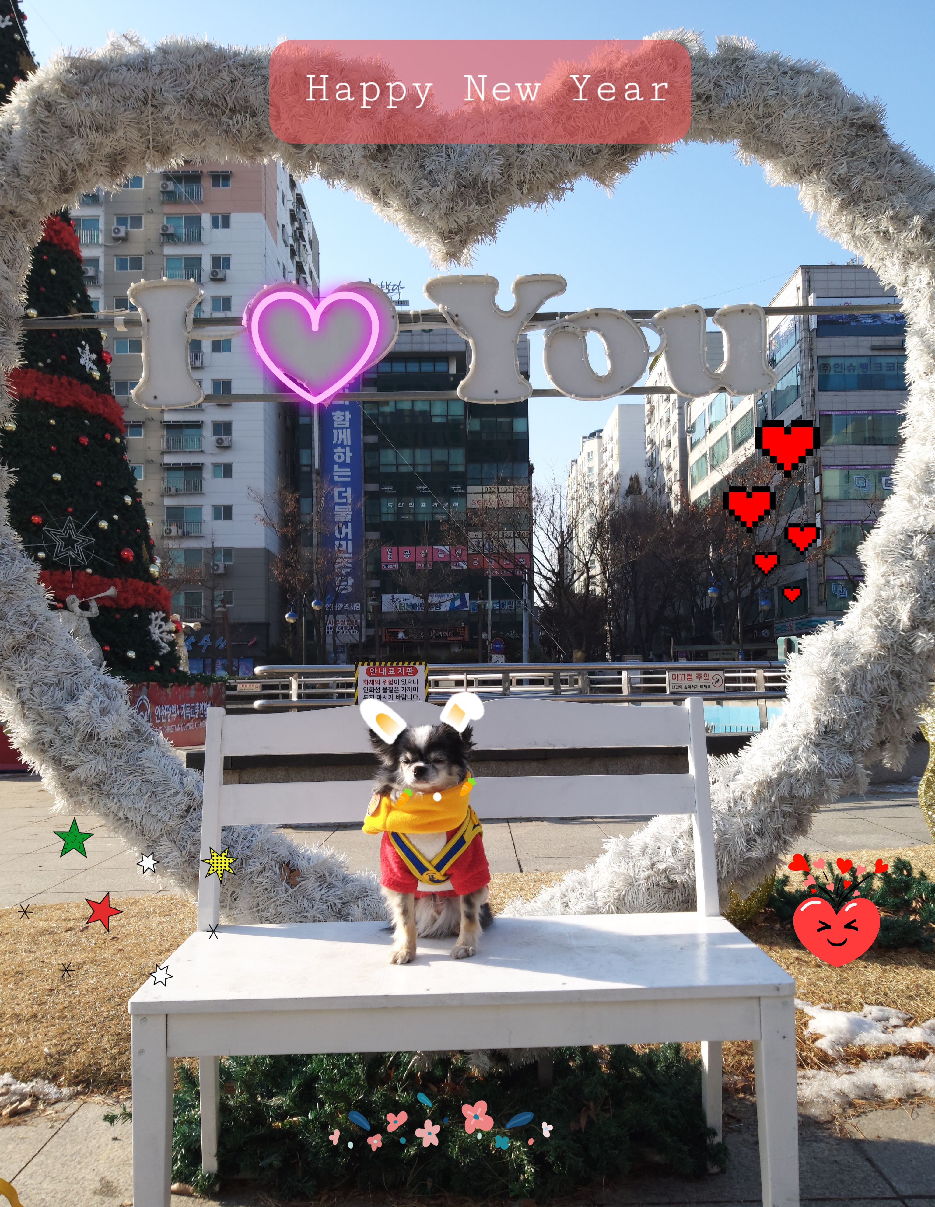 별(깜치)이는 잘지내고 있어요~♡