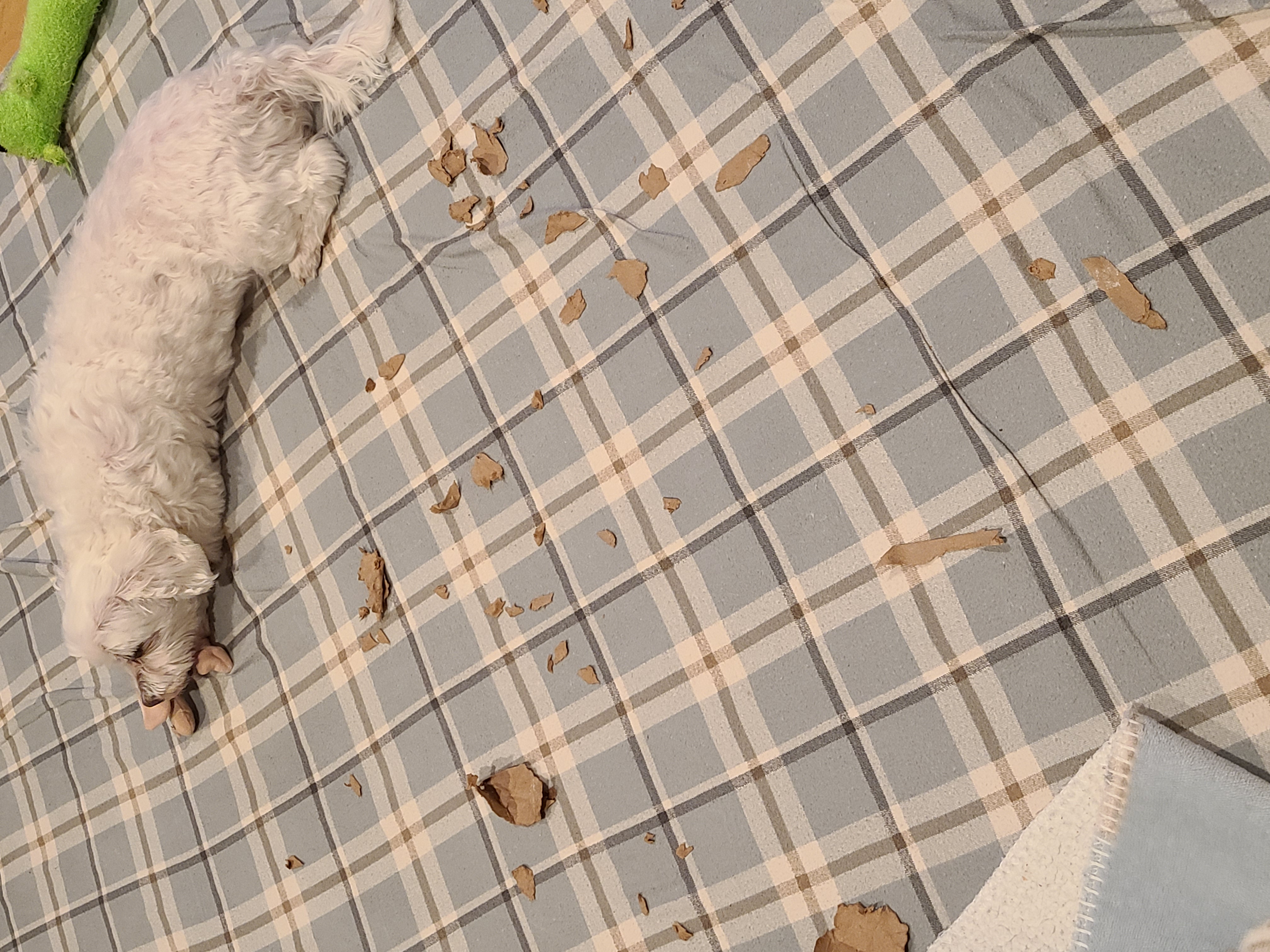 다니 (비단이) 근황