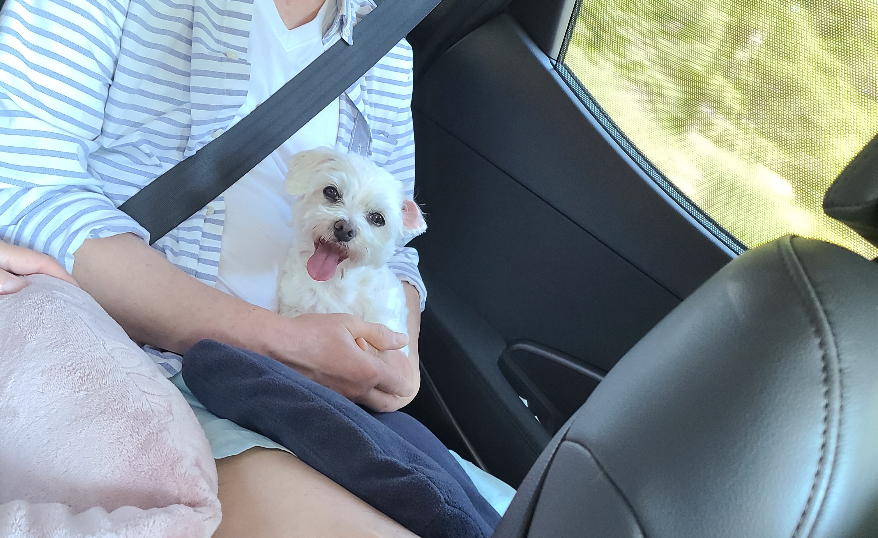 다니 (비단이) 근황