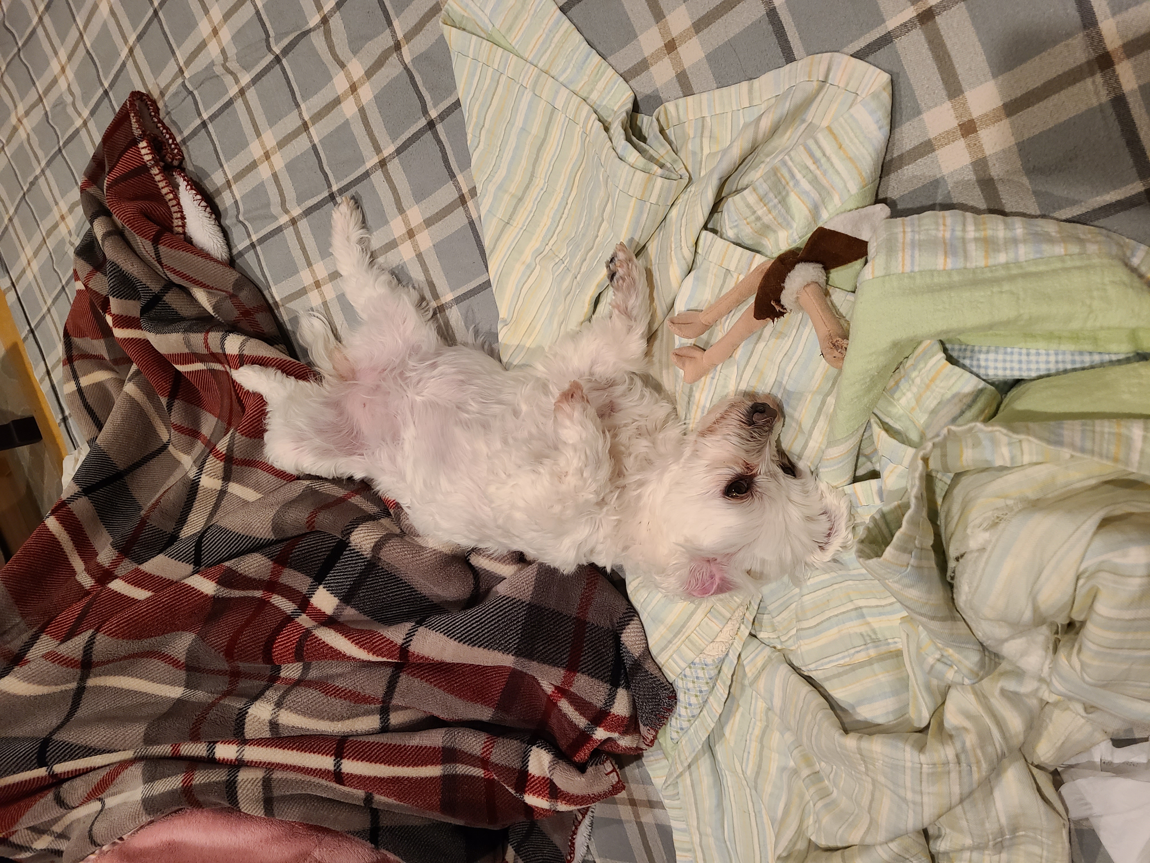 다니 (비단이) 근황