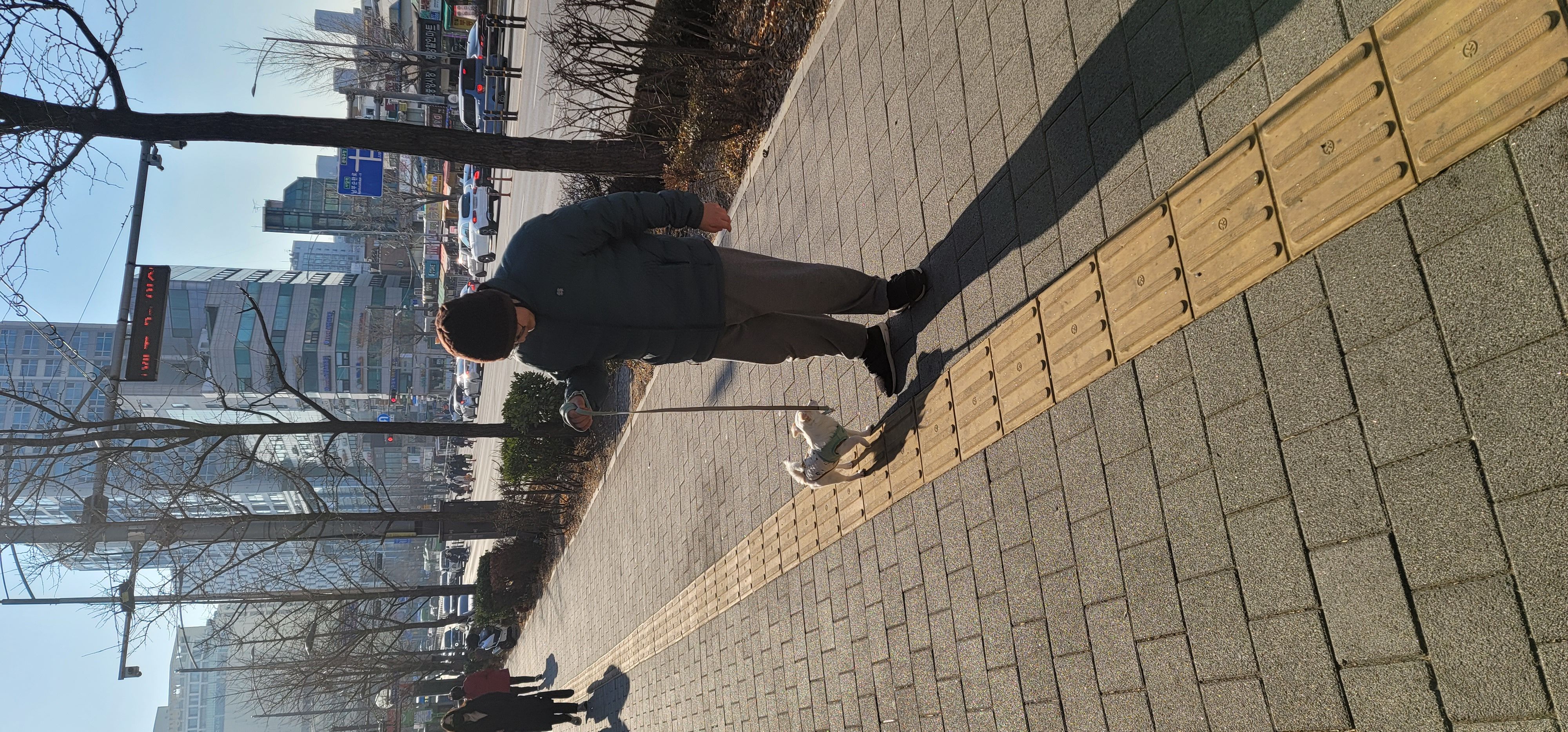 세투(새이름 누릉) 1주일 생활후기