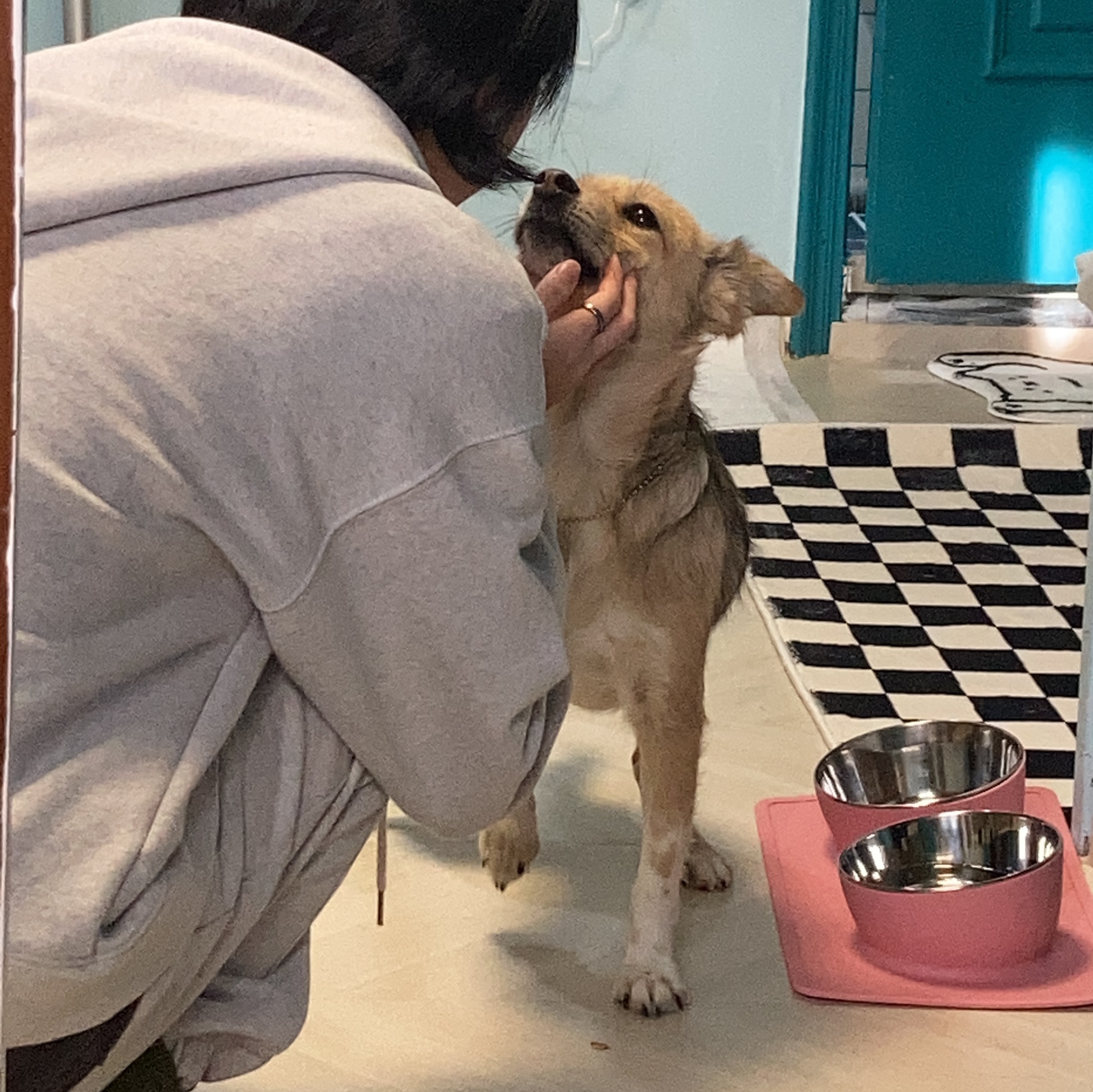 지구 임시보호 이제 3주가 되어 가네요!