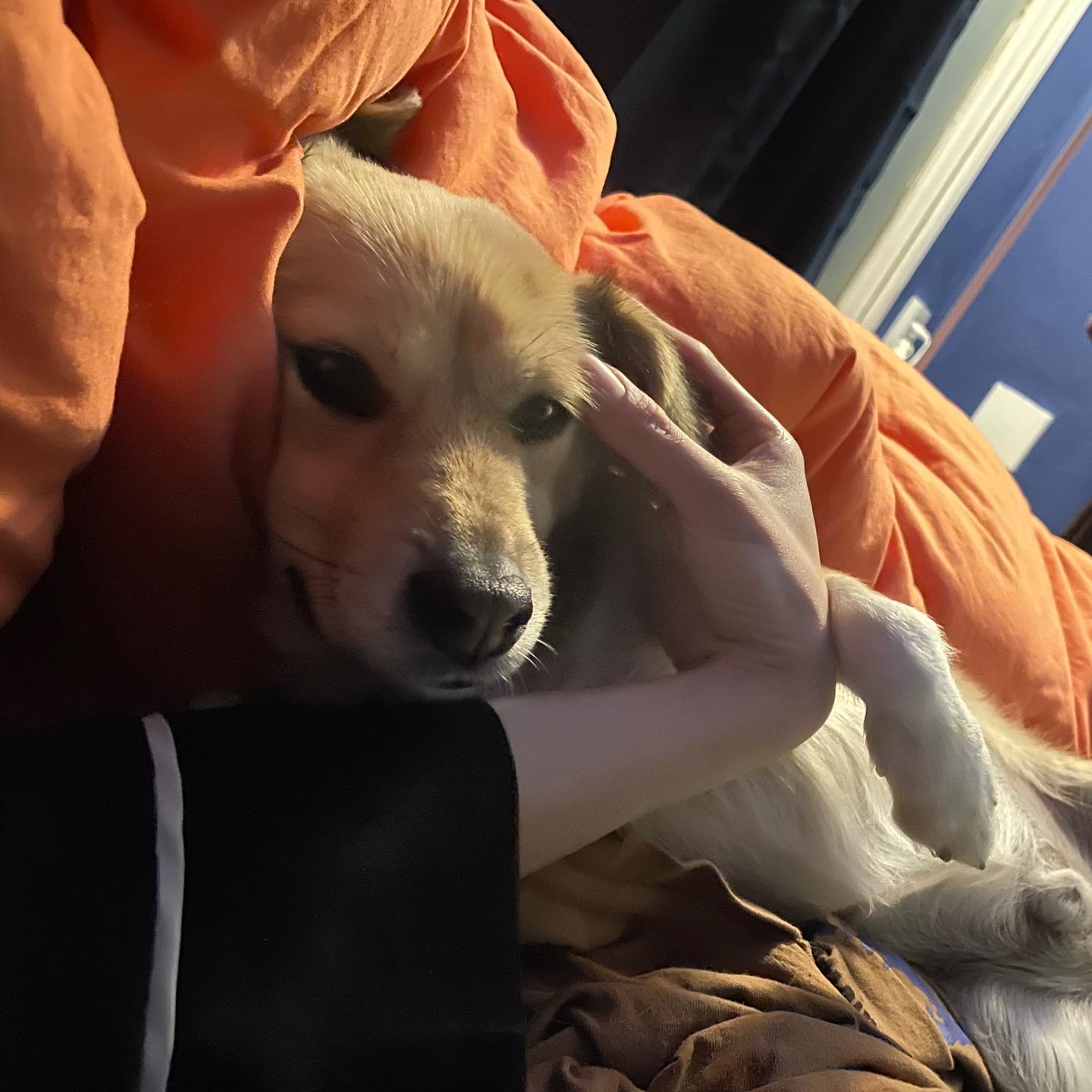 지구 임시보호 이제 3주가 되어 가네요!