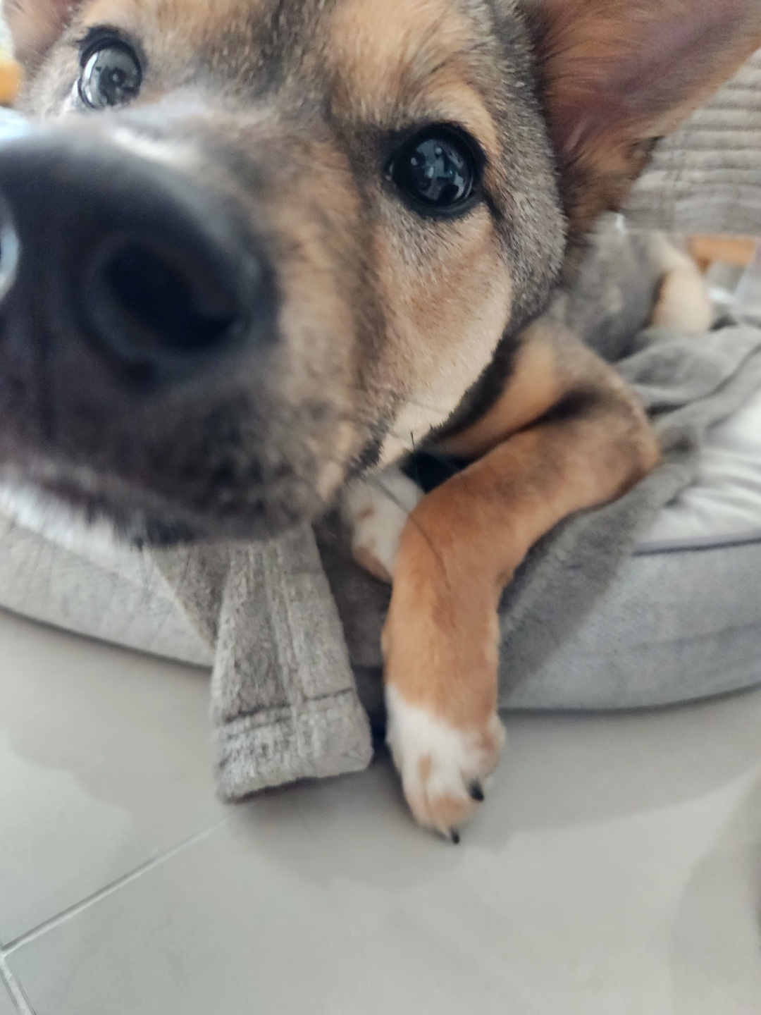 (구, 강식) 테오의 두달 적응 일기