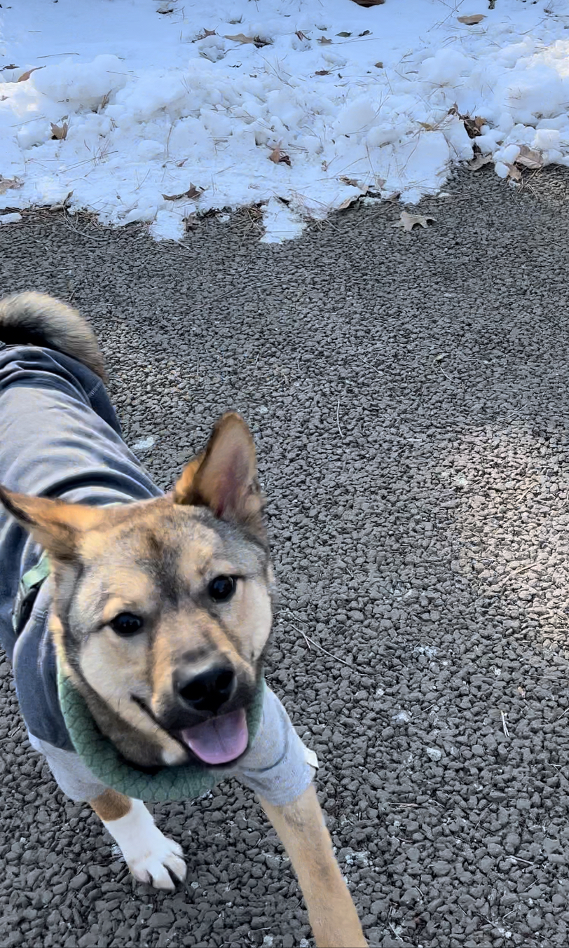 (구, 강식) 테오의 두달 적응 일기