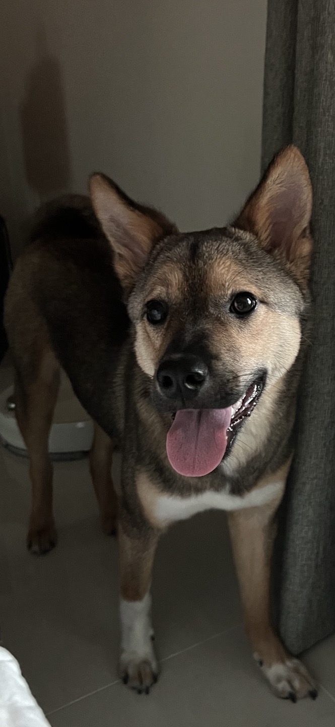 (구, 강식) 테오의 두달 적응 일기