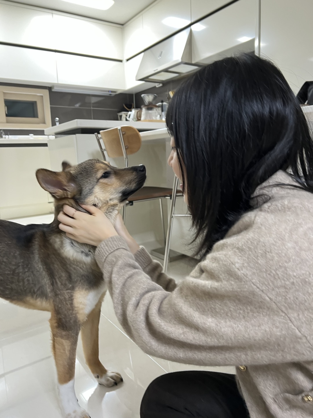 (구, 강식) 테오의 두달 적응 일기
