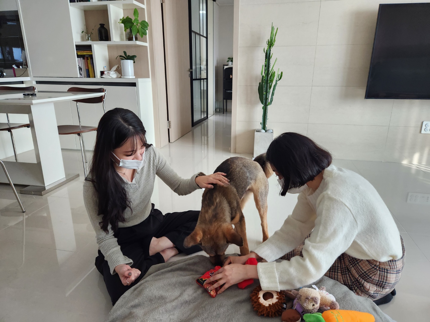 (구, 강식) 테오의 두달 적응 일기