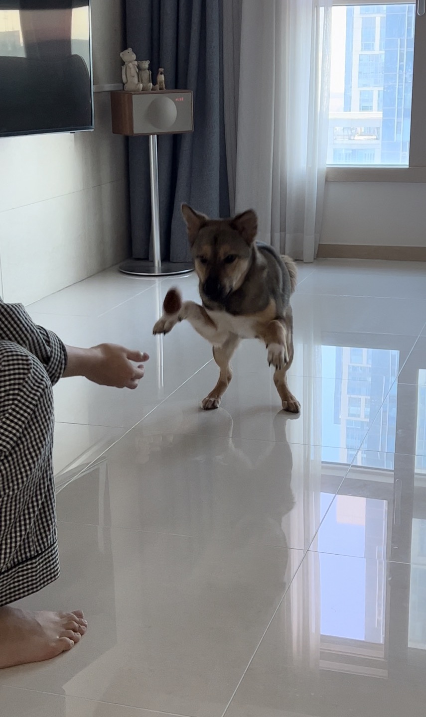 (구, 강식) 테오의 두달 적응 일기