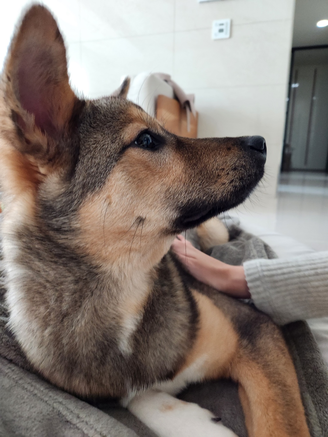 (구, 강식) 테오의 두달 적응 일기