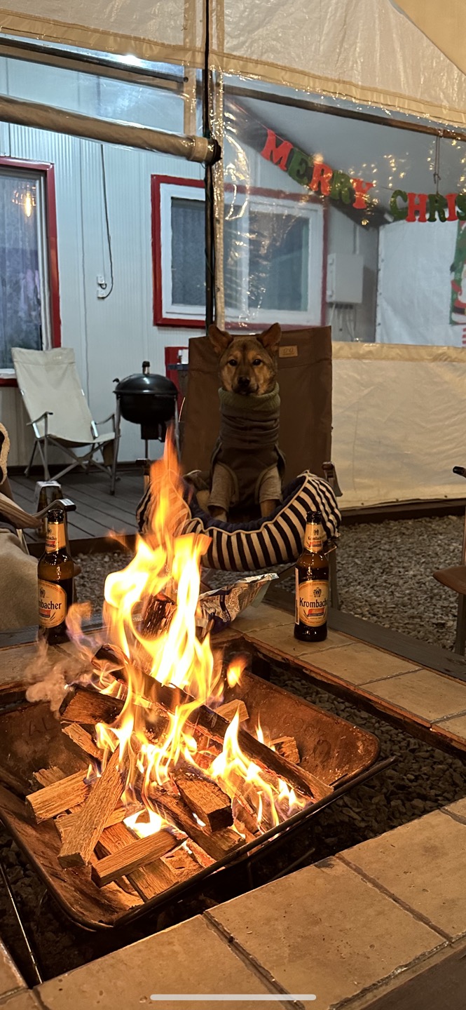 (구, 강식) 테오의 두달 적응 일기