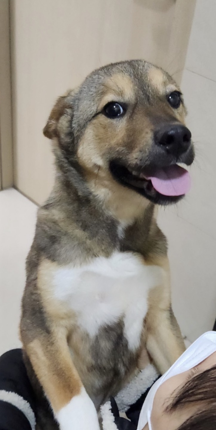 (구, 강식) 테오의 두달 적응 일기