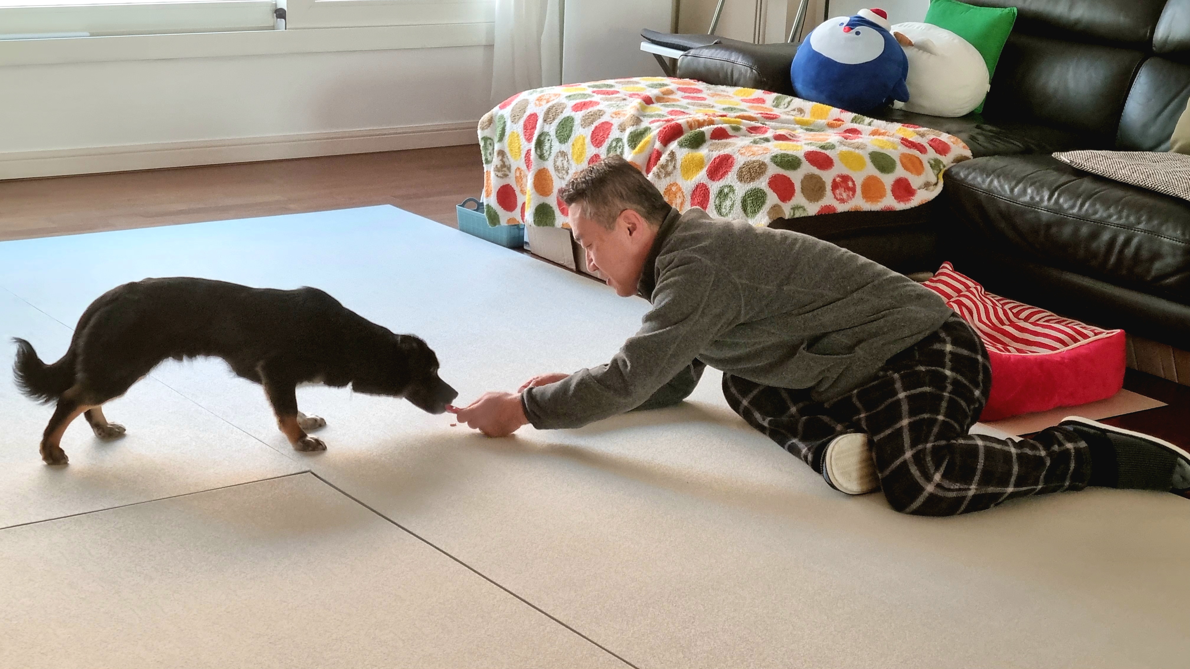 두양이 첫 입양기입니다