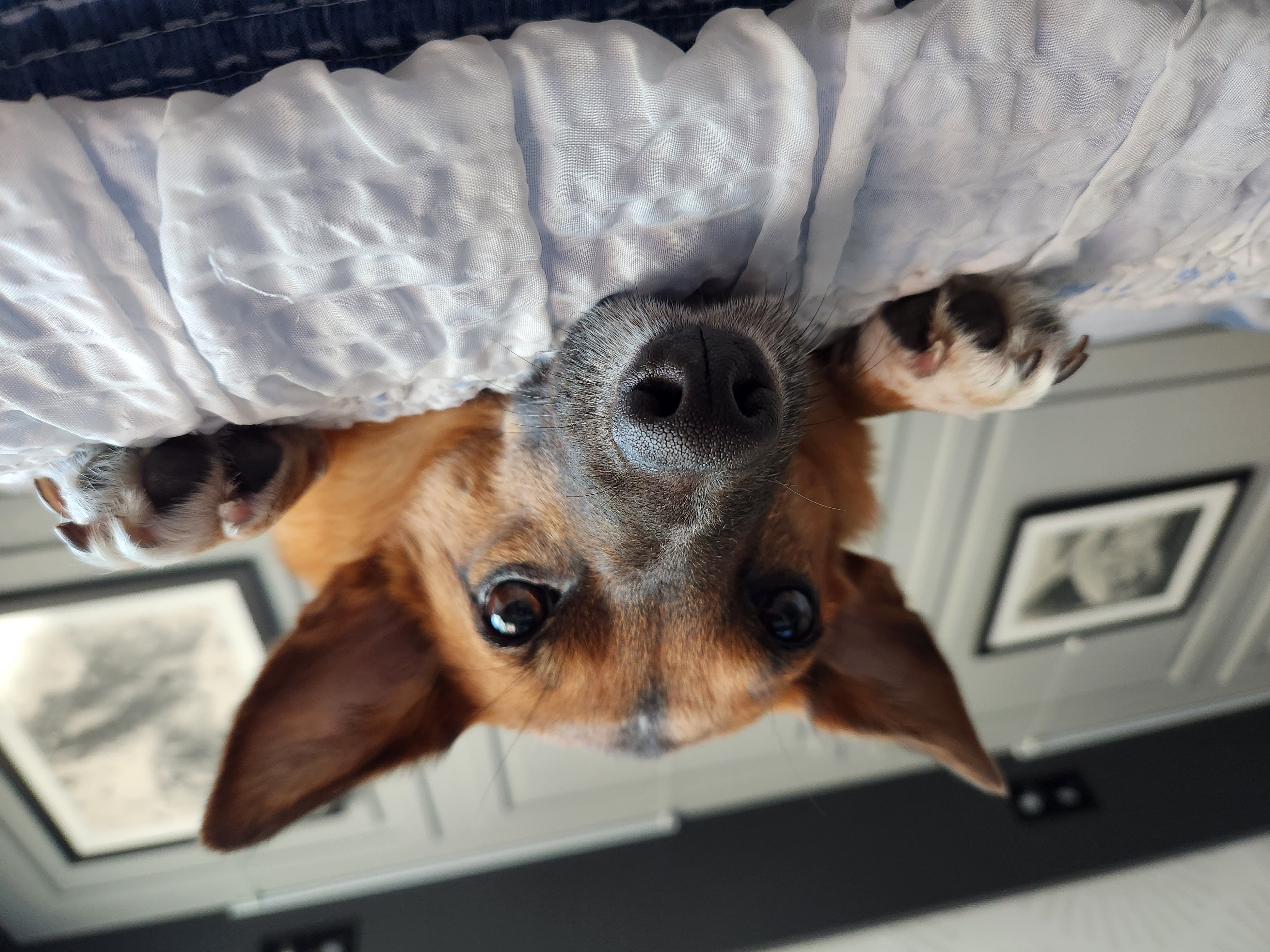 안녕하세요.  리카인사드려요.