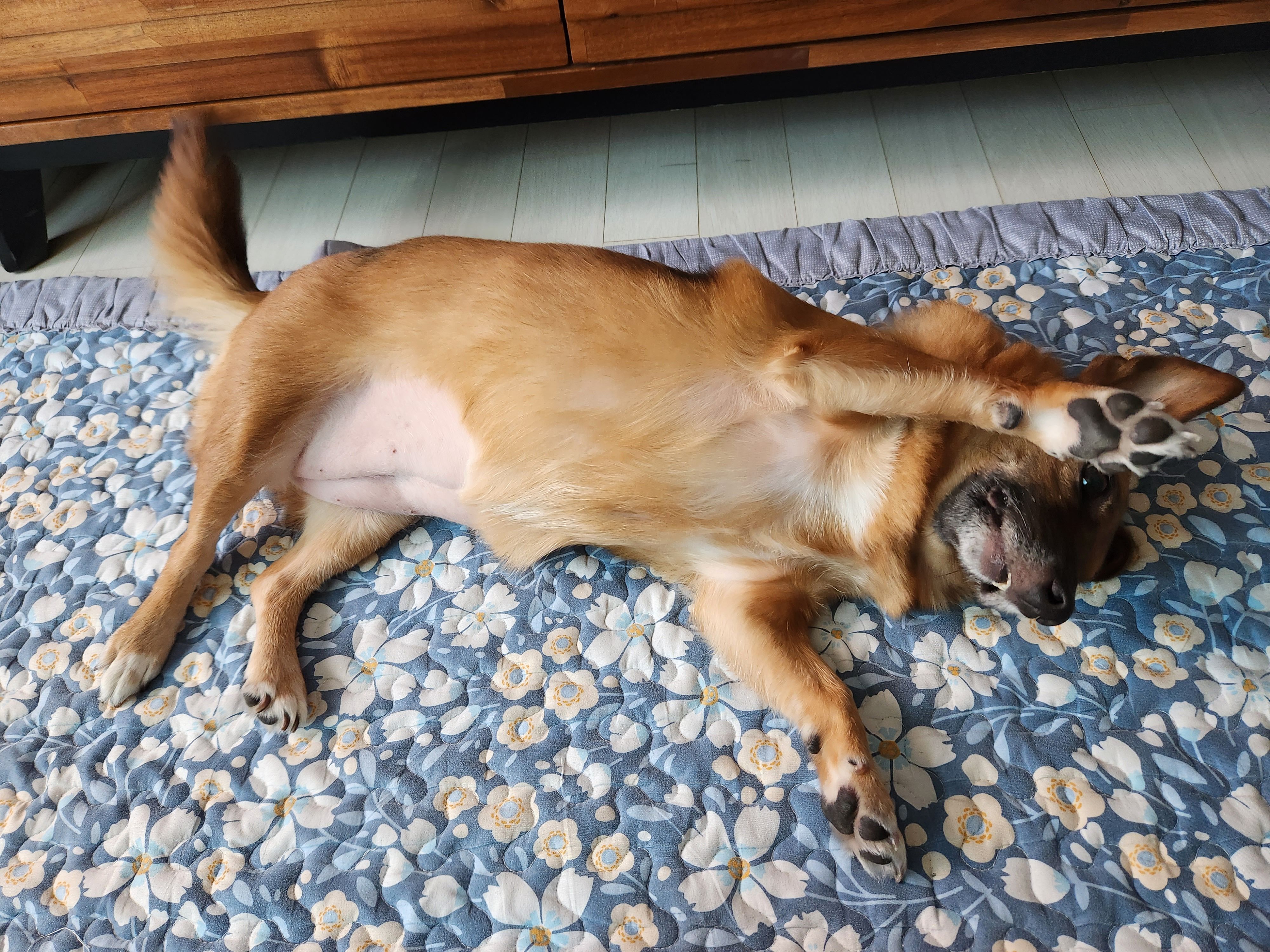 안녕하세요.  리카인사드려요.