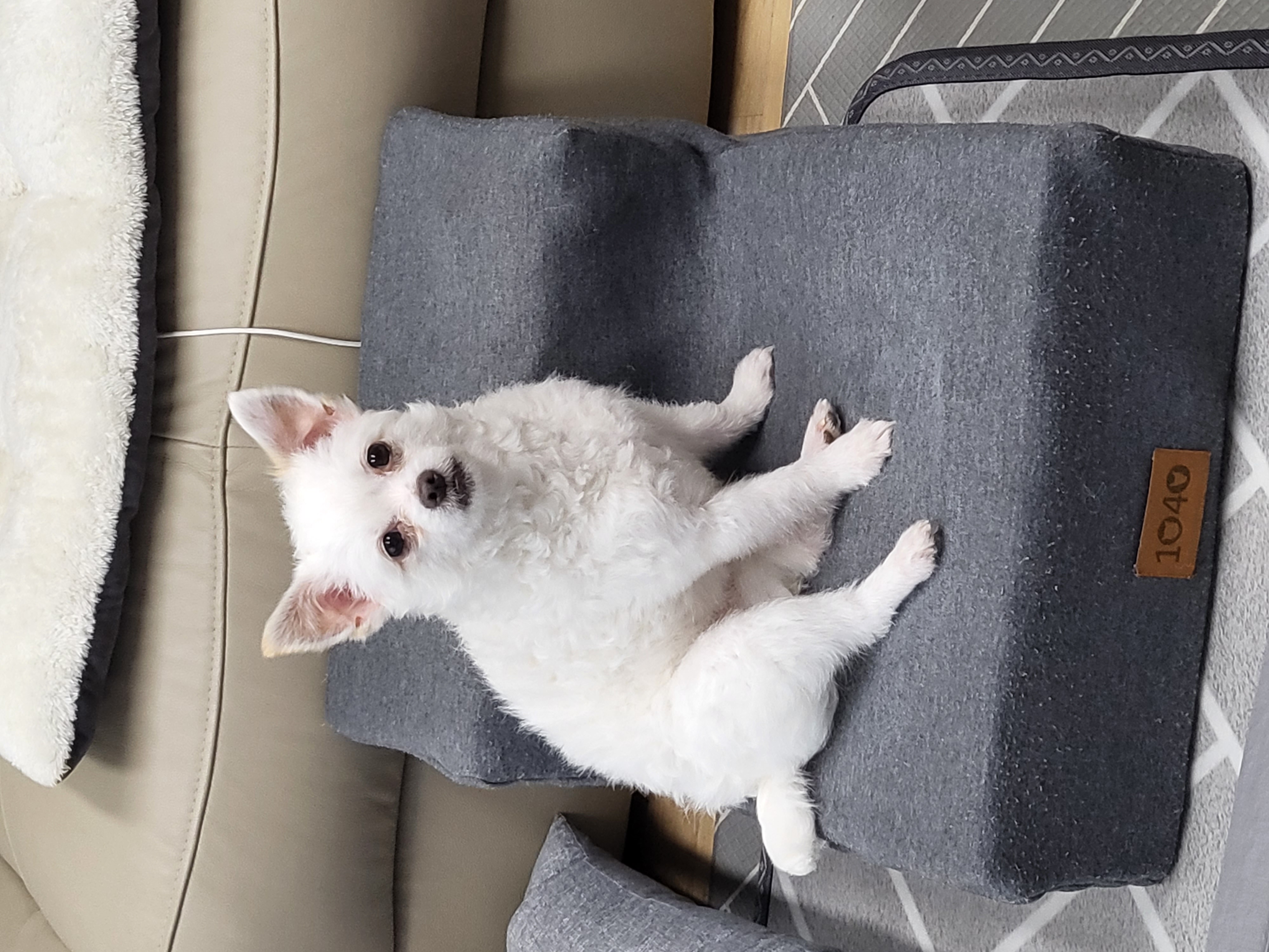 오투 임보한달차 입니당♡