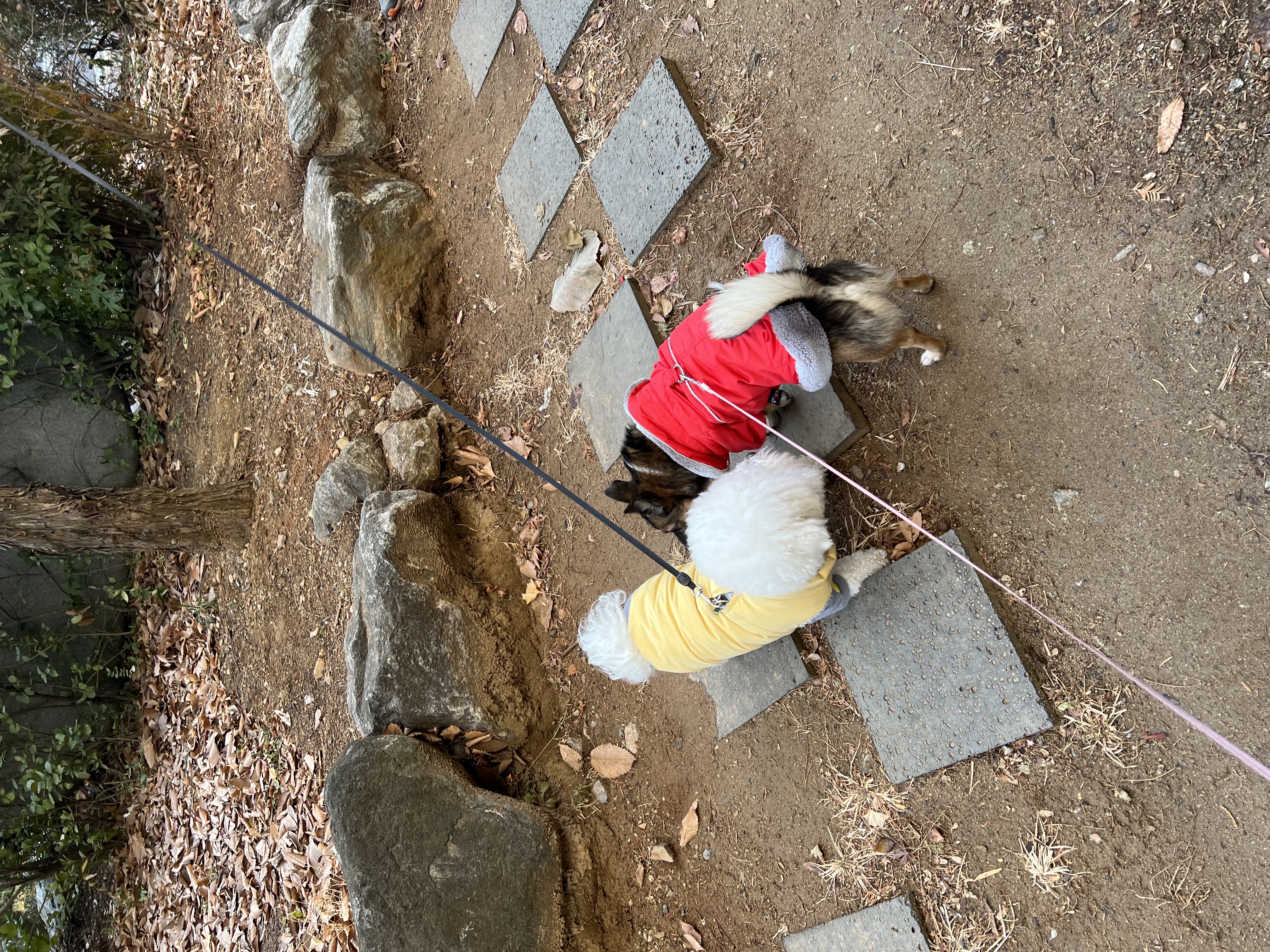 지로는 잘지내고 있어요 . 리복이