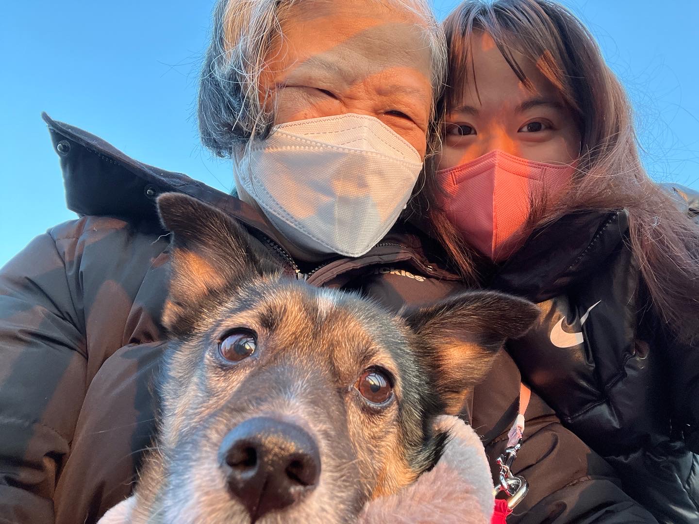 지로는 잘지내고 있어요 . 리복이