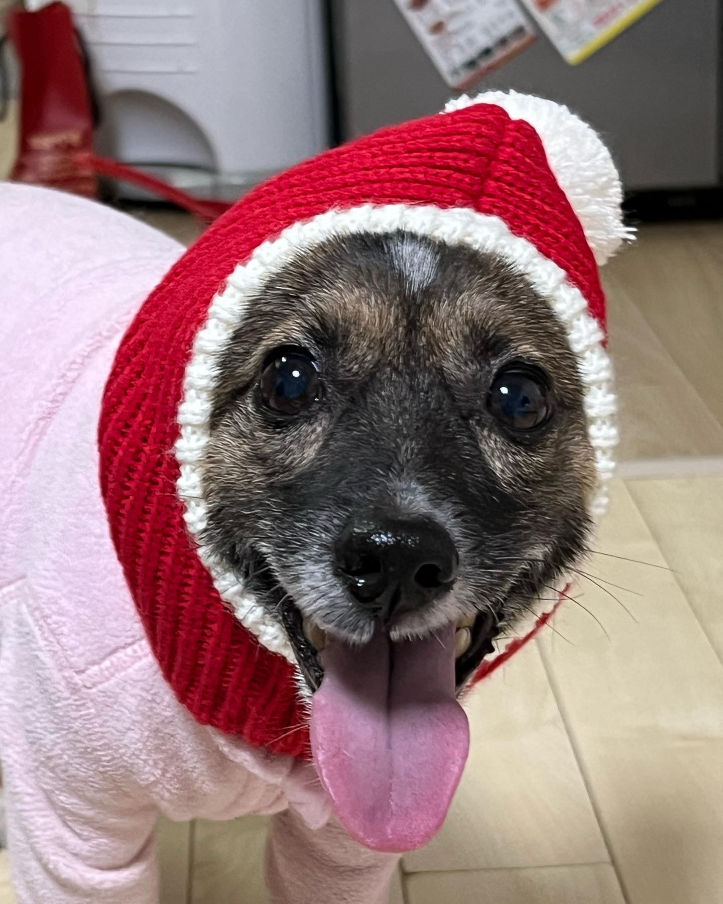 지로는 잘지내고 있어요 . 리복이