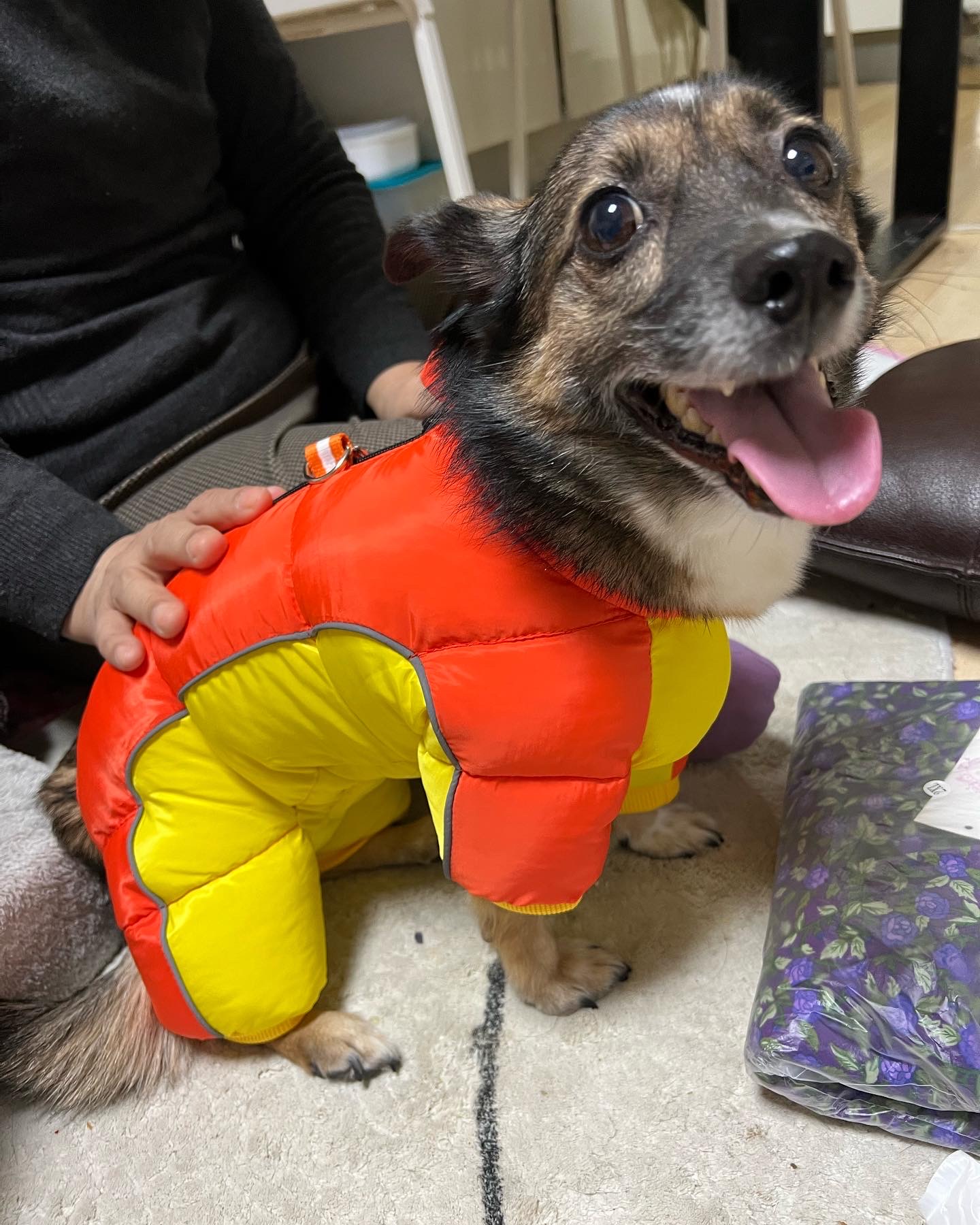 지로는 잘지내고 있어요 . 리복이