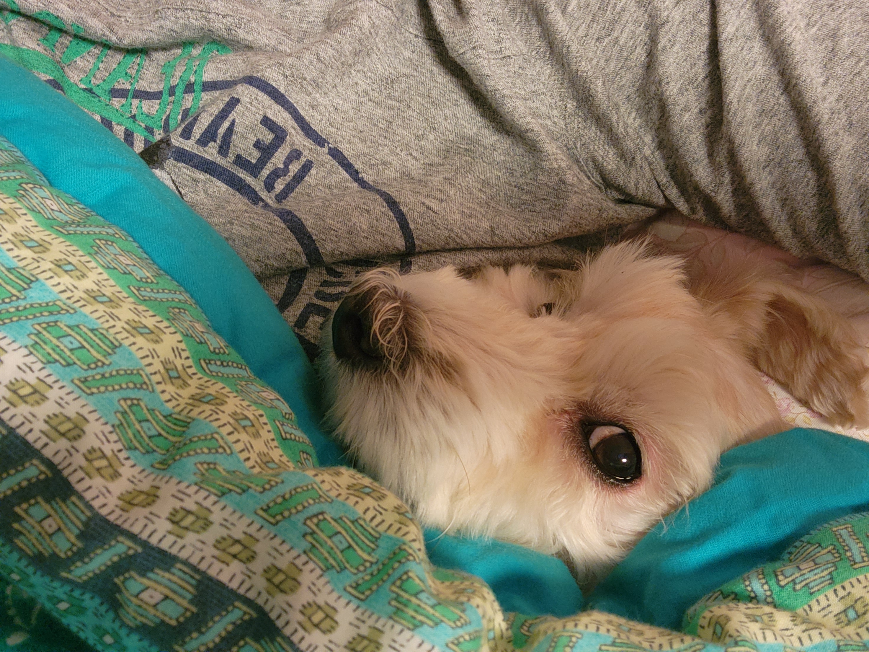 우리 금동(은돌) 이야기