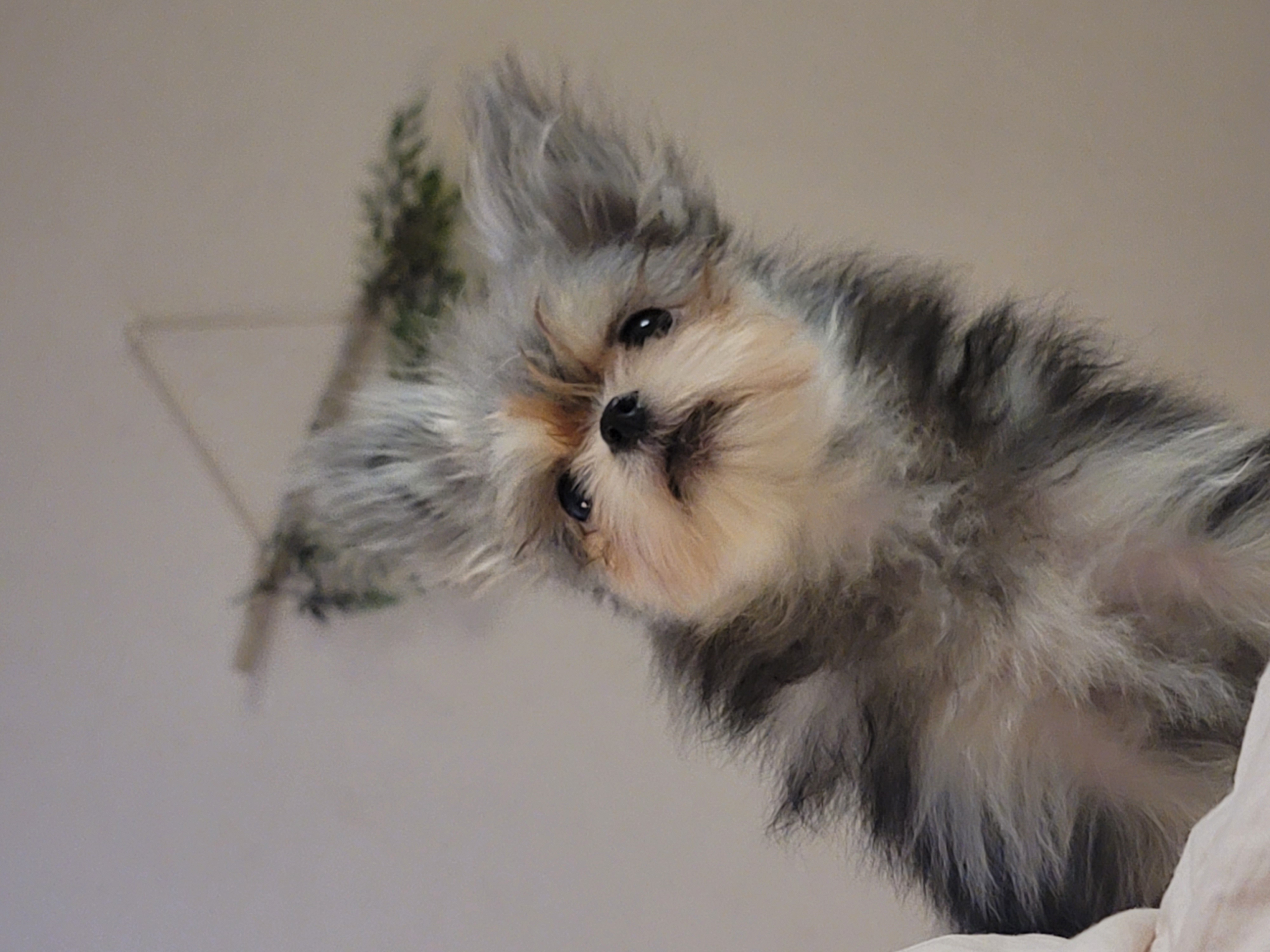 자반(소삼)이 함께한 지 3개월차 후기 ❤️