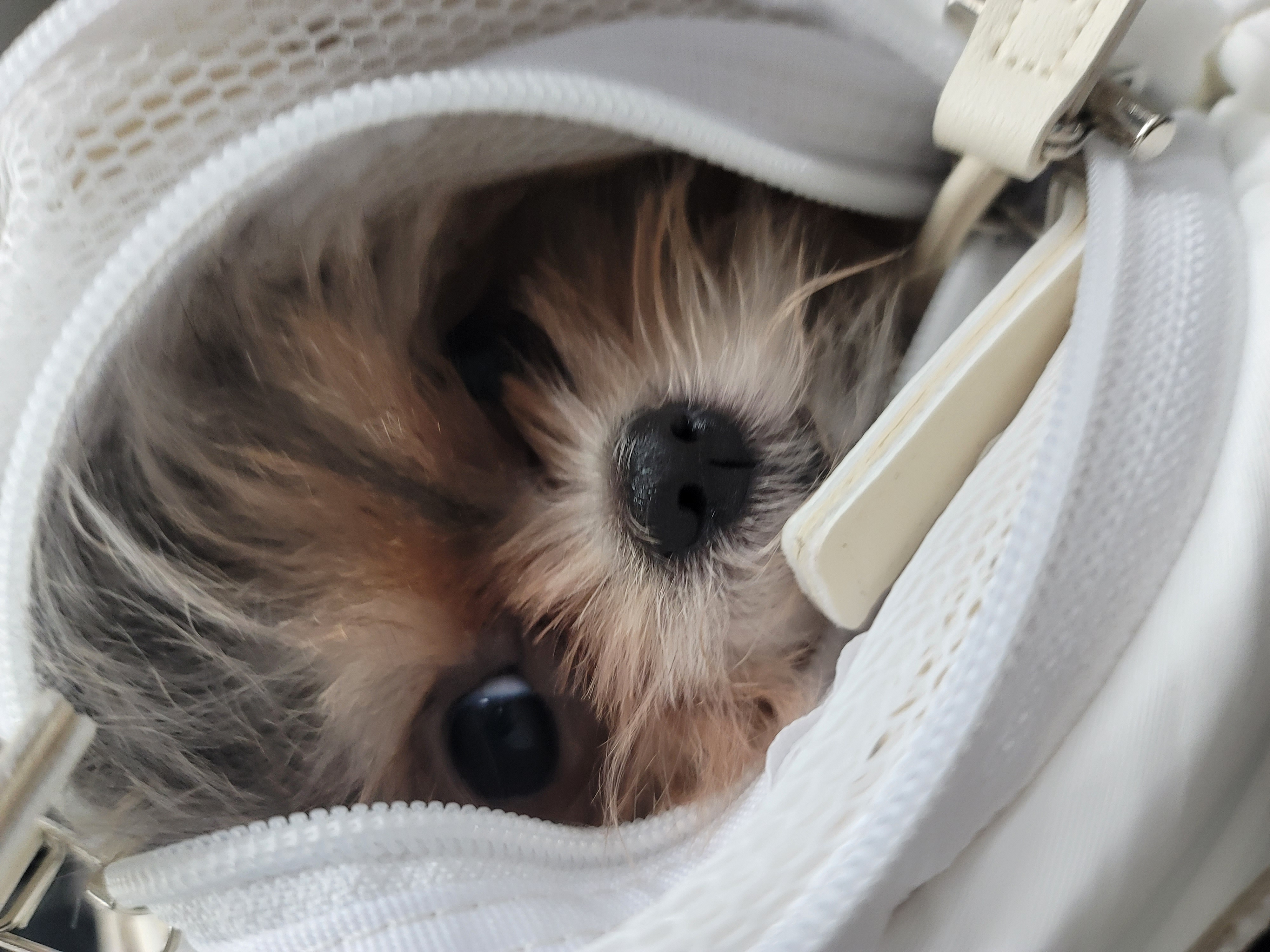 자반(소삼)이 함께한 지 3개월차 후기 ❤️