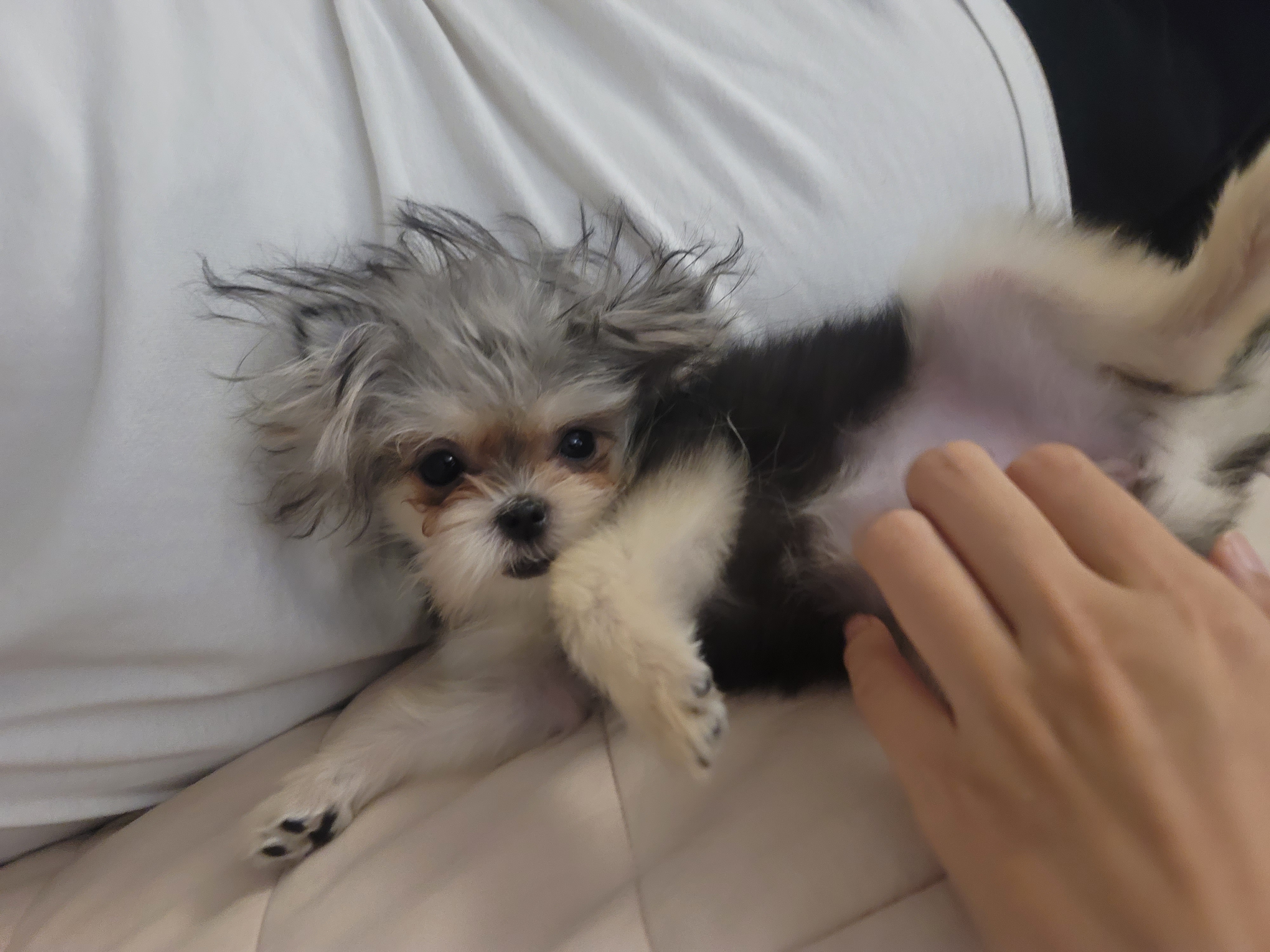 자반(소삼)이 함께한 지 3개월차 후기 ❤️