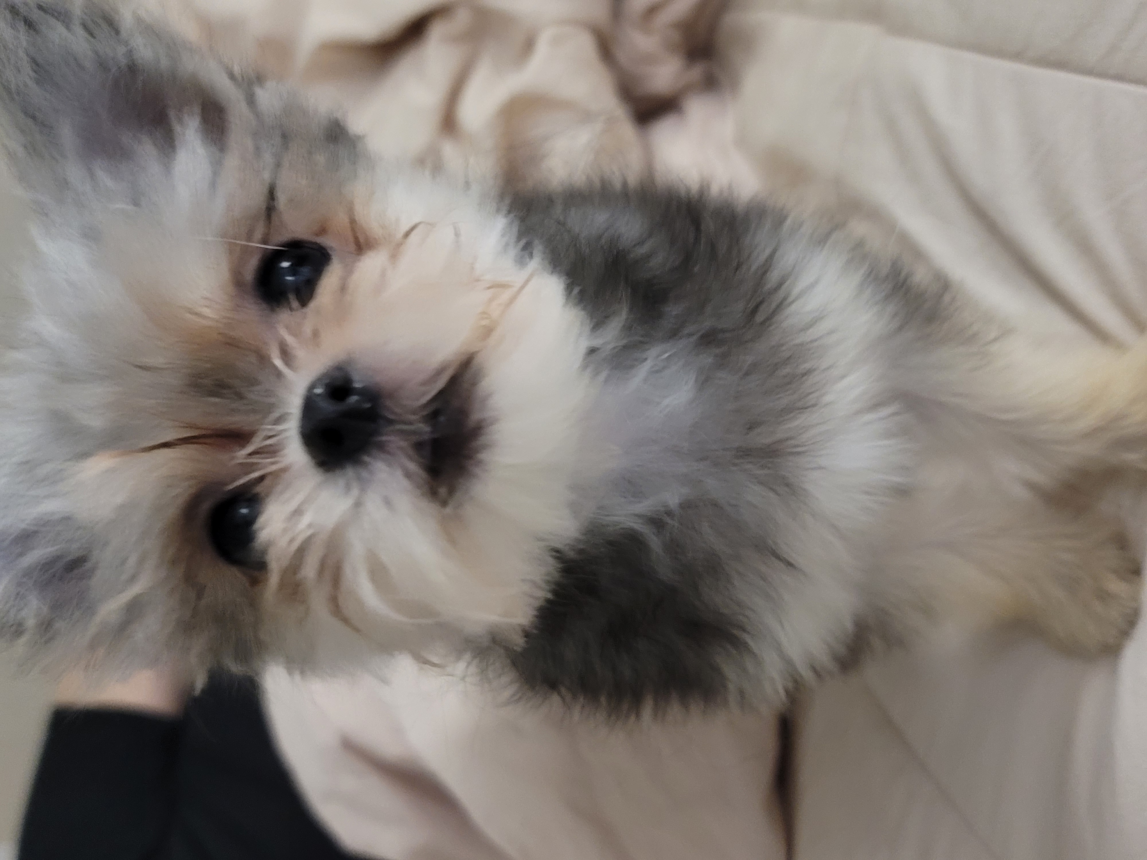 자반(소삼)이 함께한 지 3개월차 후기 ❤️